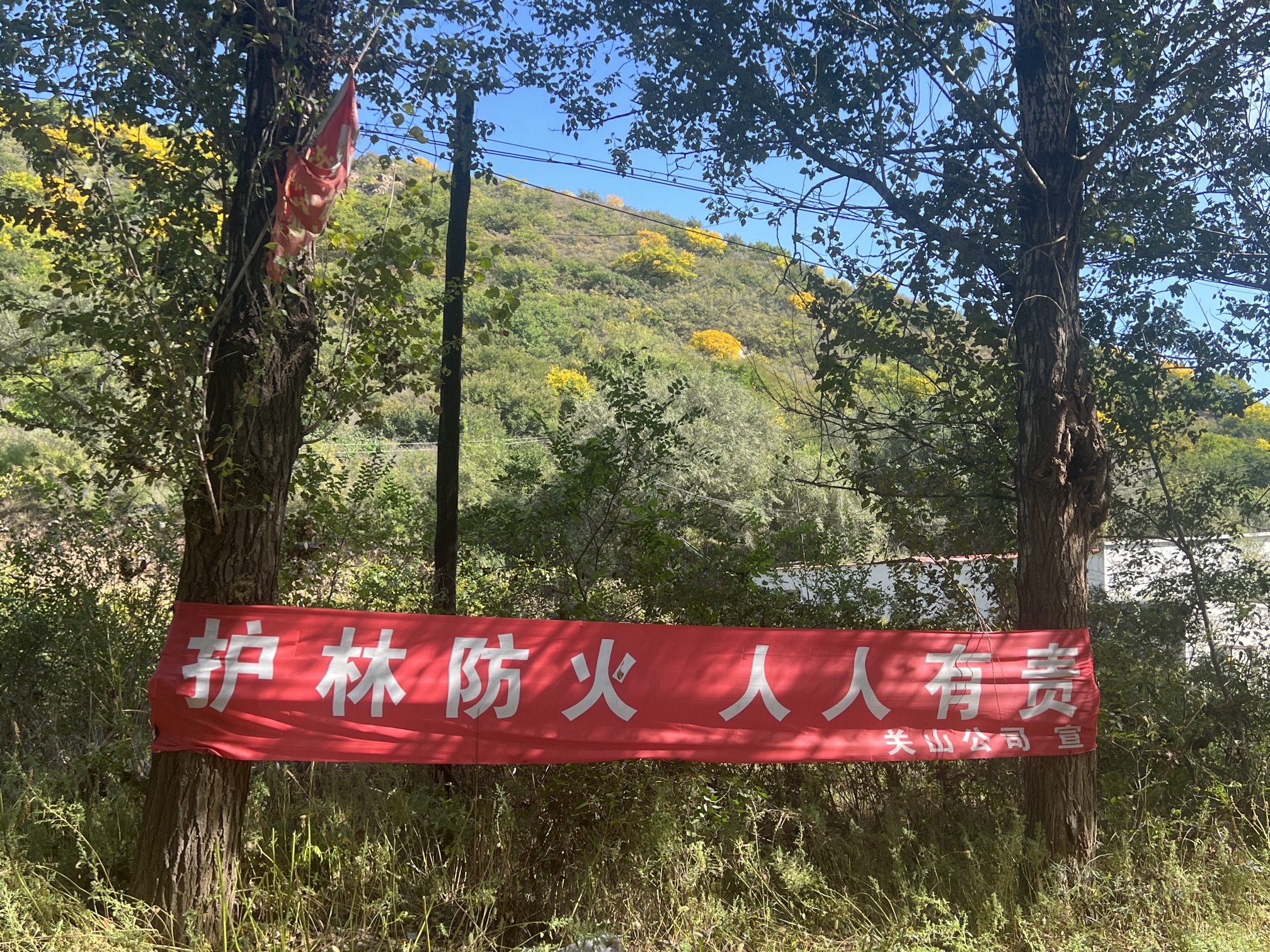 关山省级自然保护区