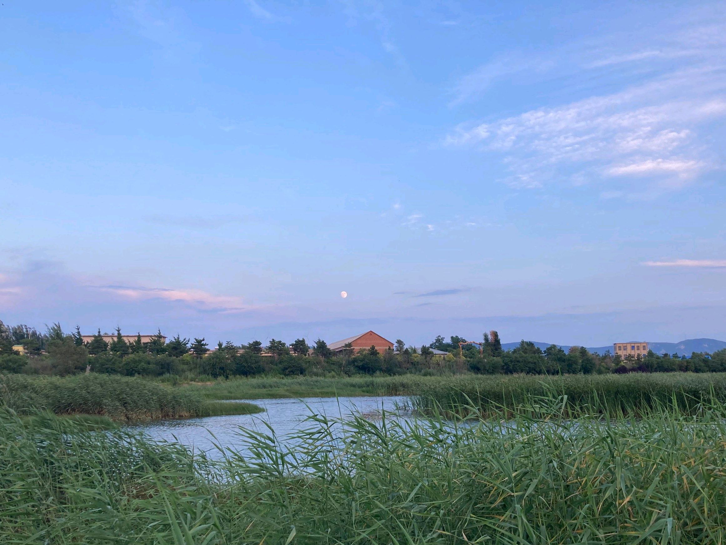 希日塔拉公园旅行图片 2