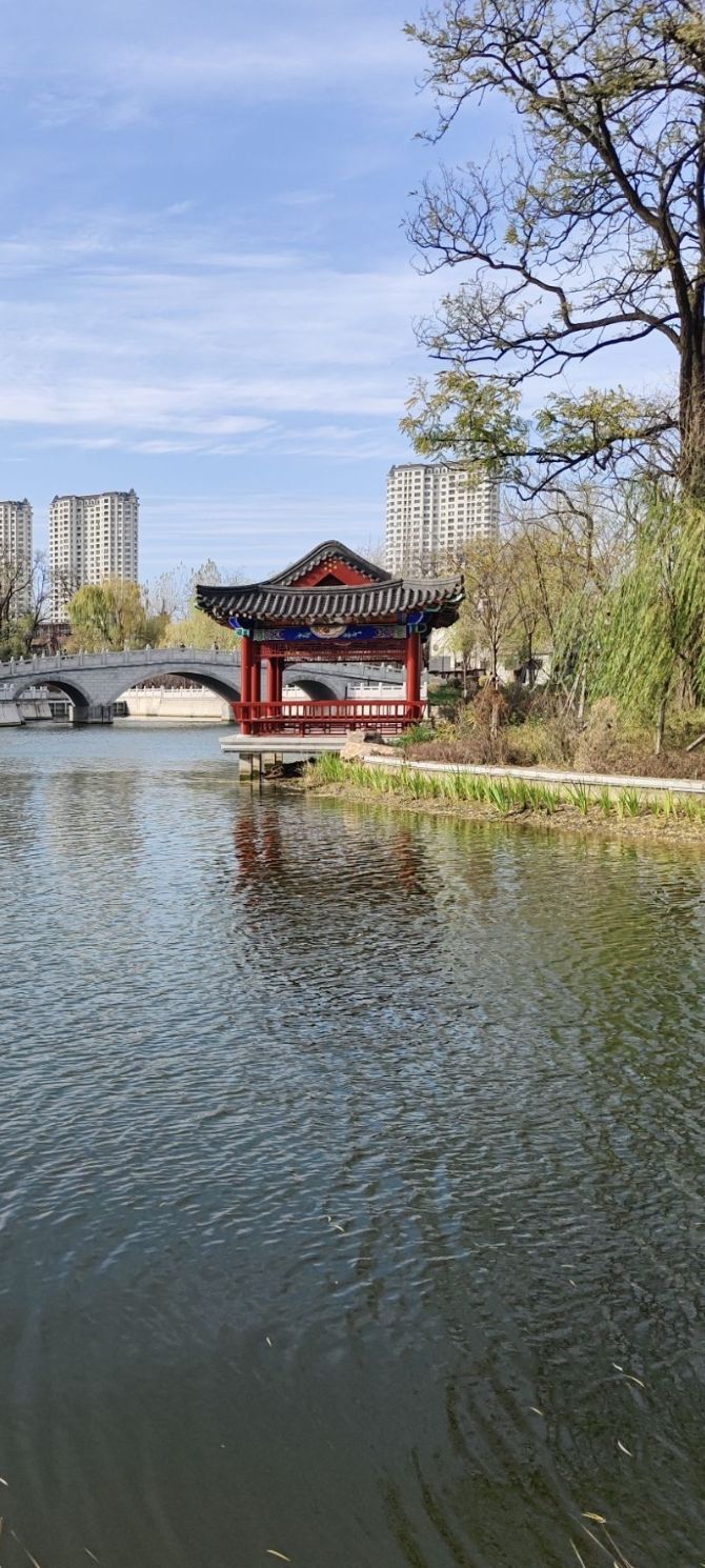 青年湖公园旅行图片 1