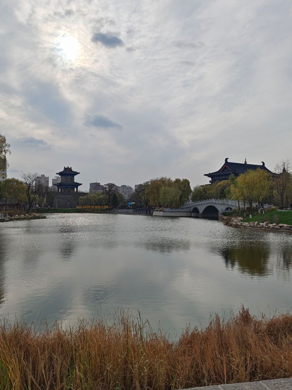 青年湖公园旅行图片 3