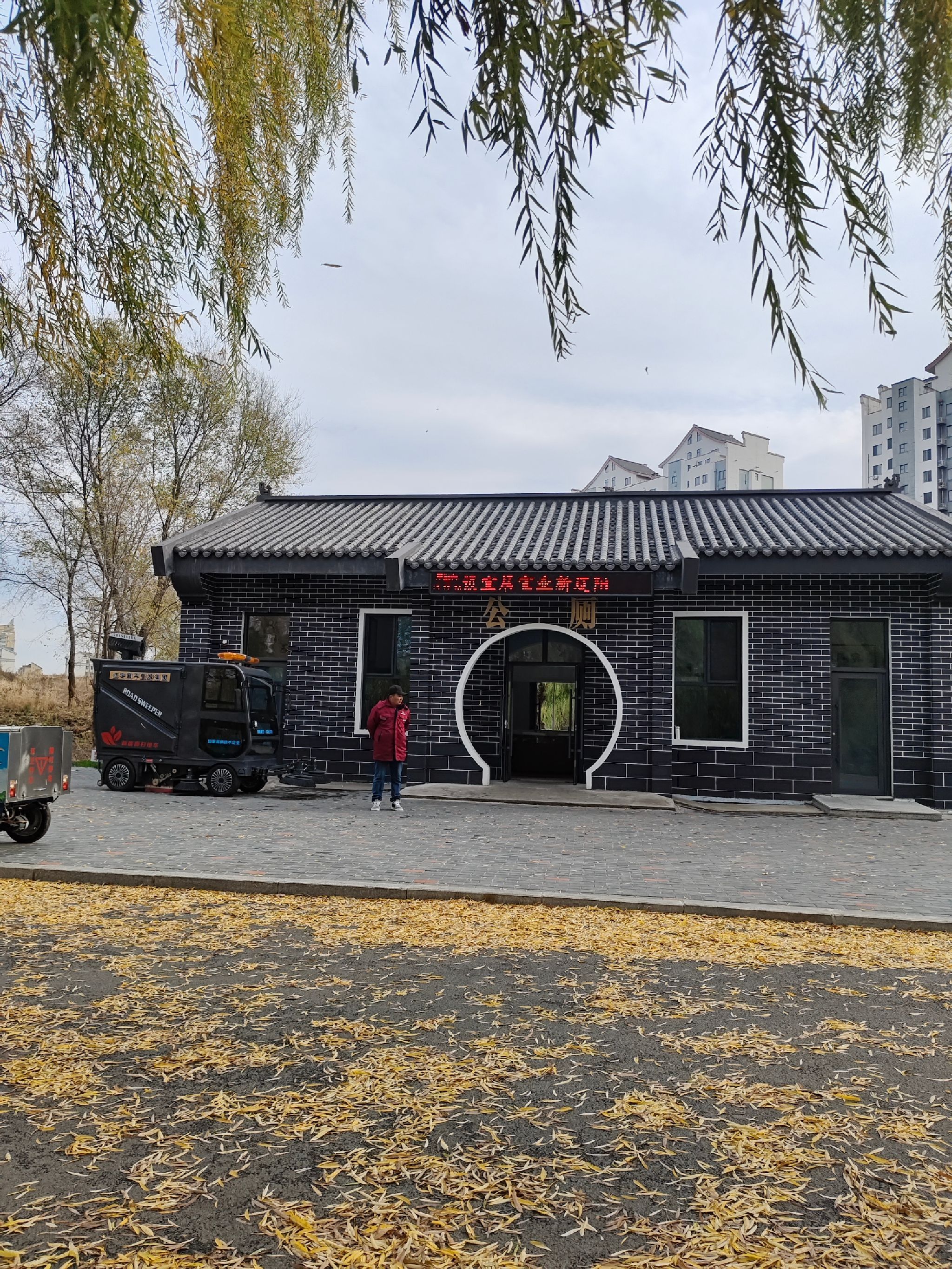 青年湖公园旅行图片 2