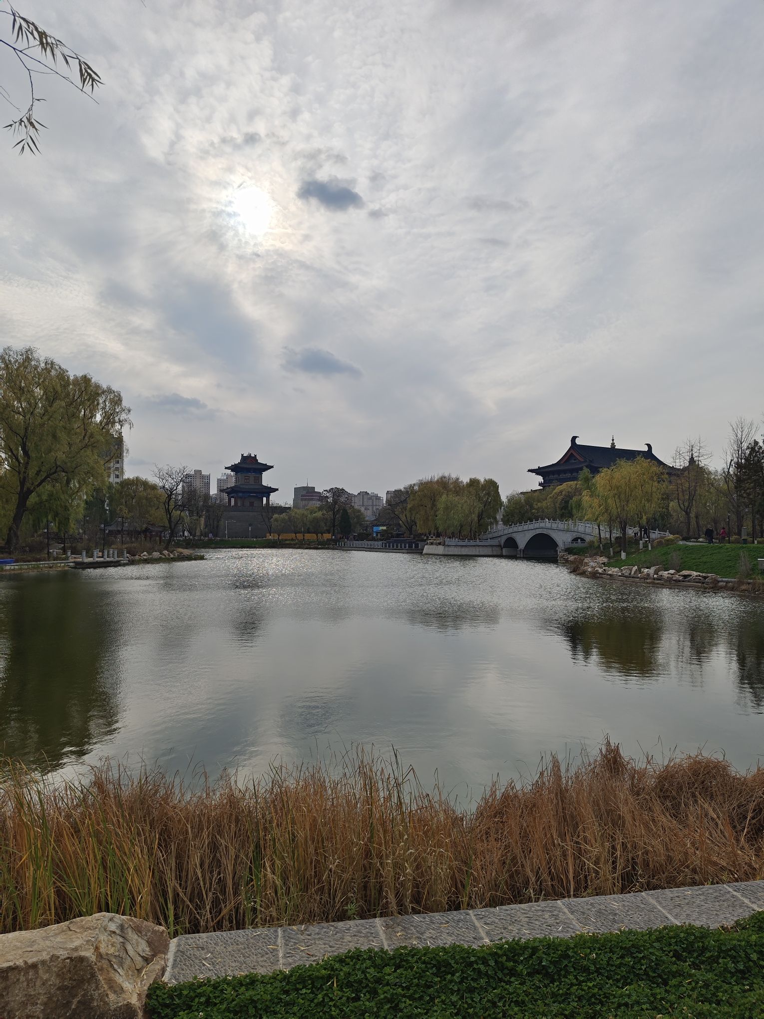青年湖公园旅行图片 3