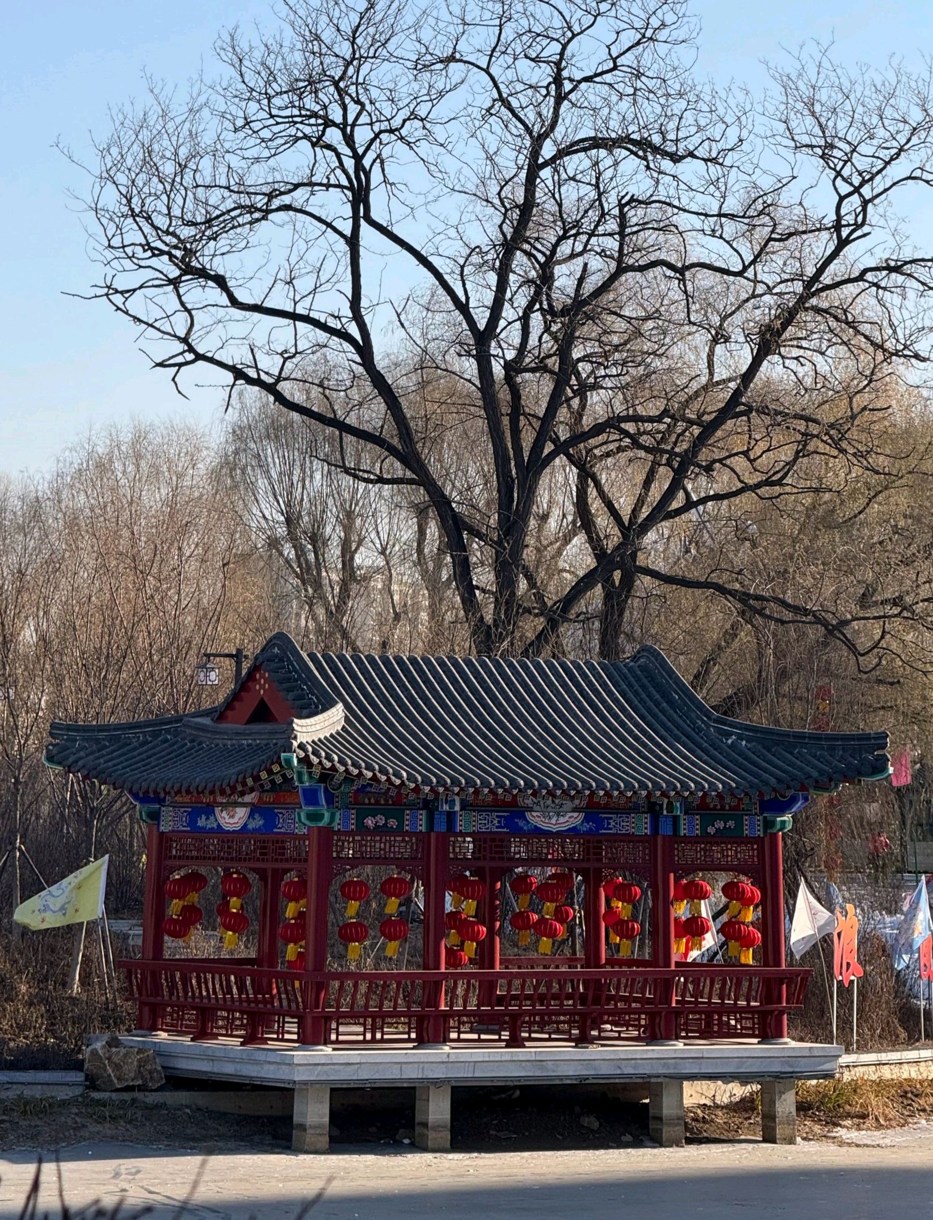 青年湖公园旅行图片 2