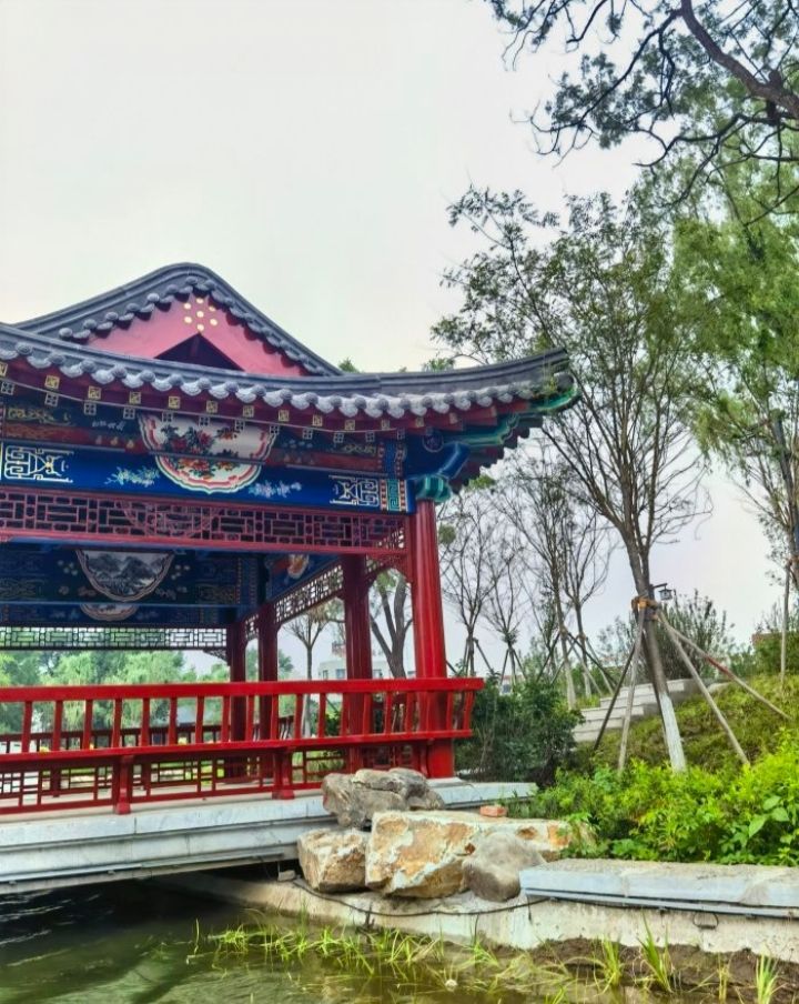 青年湖公园旅行图片 1