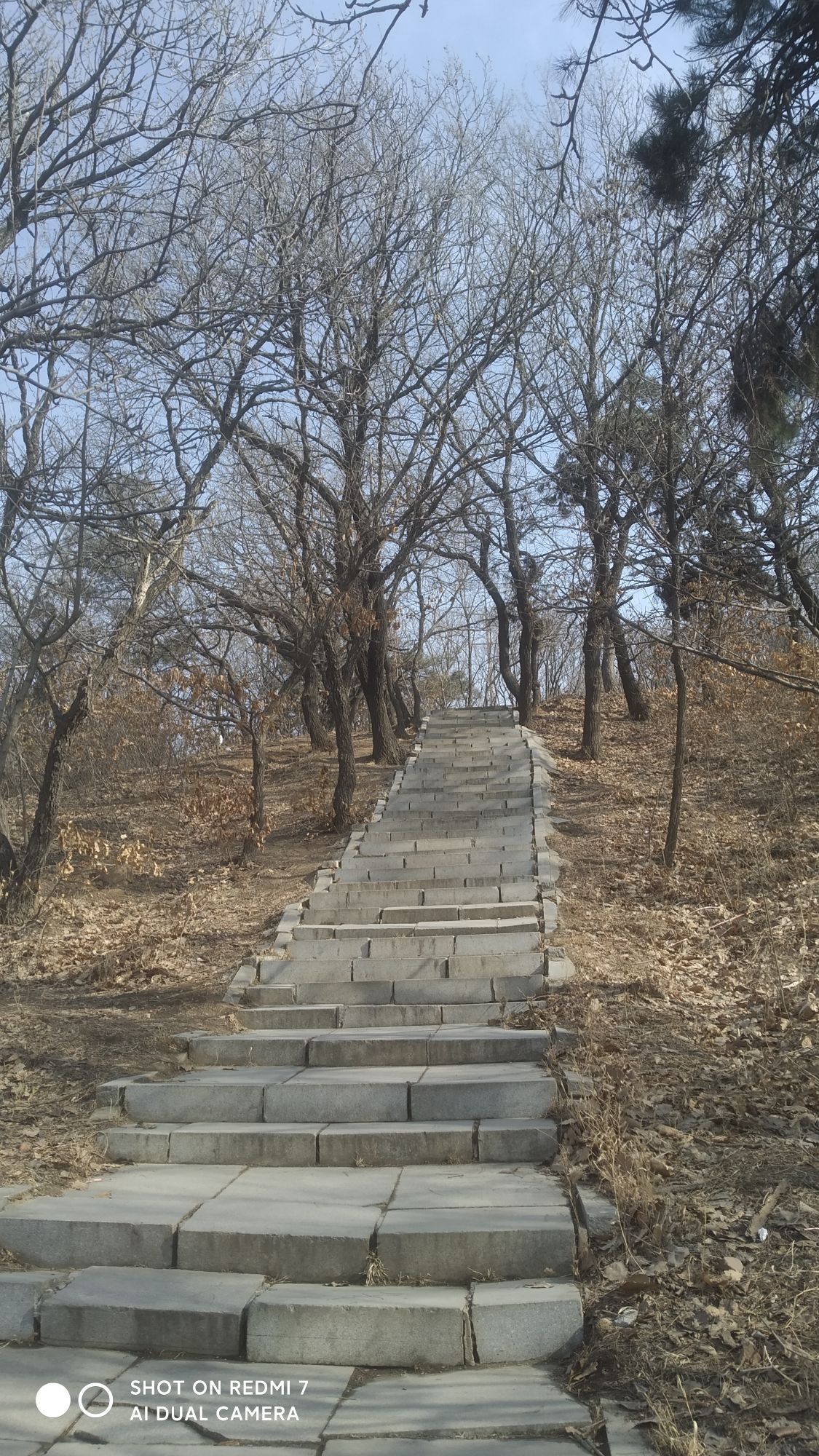 首山公园旅行图片 2