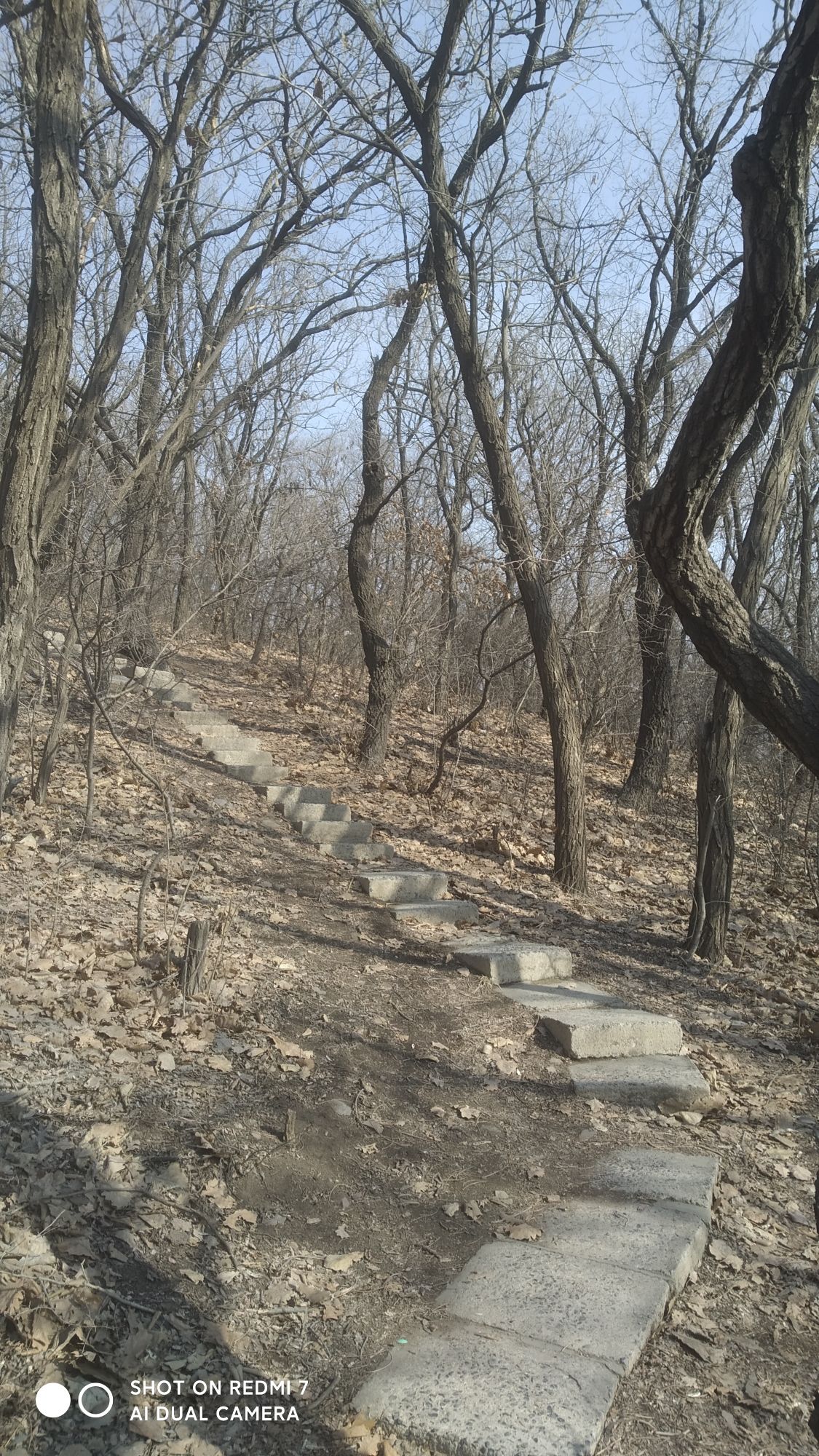 首山公园旅行图片 3