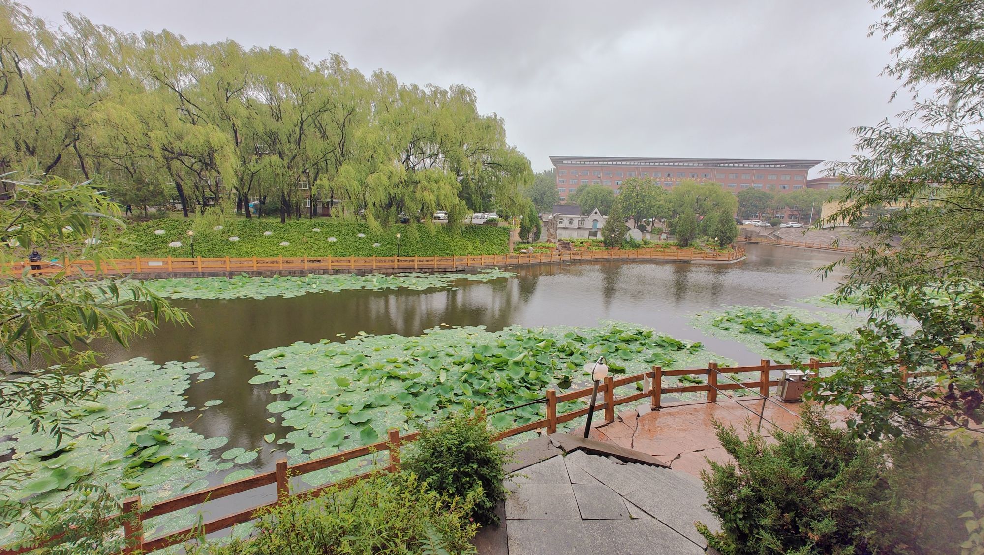 荟萃湖旅行图片 3