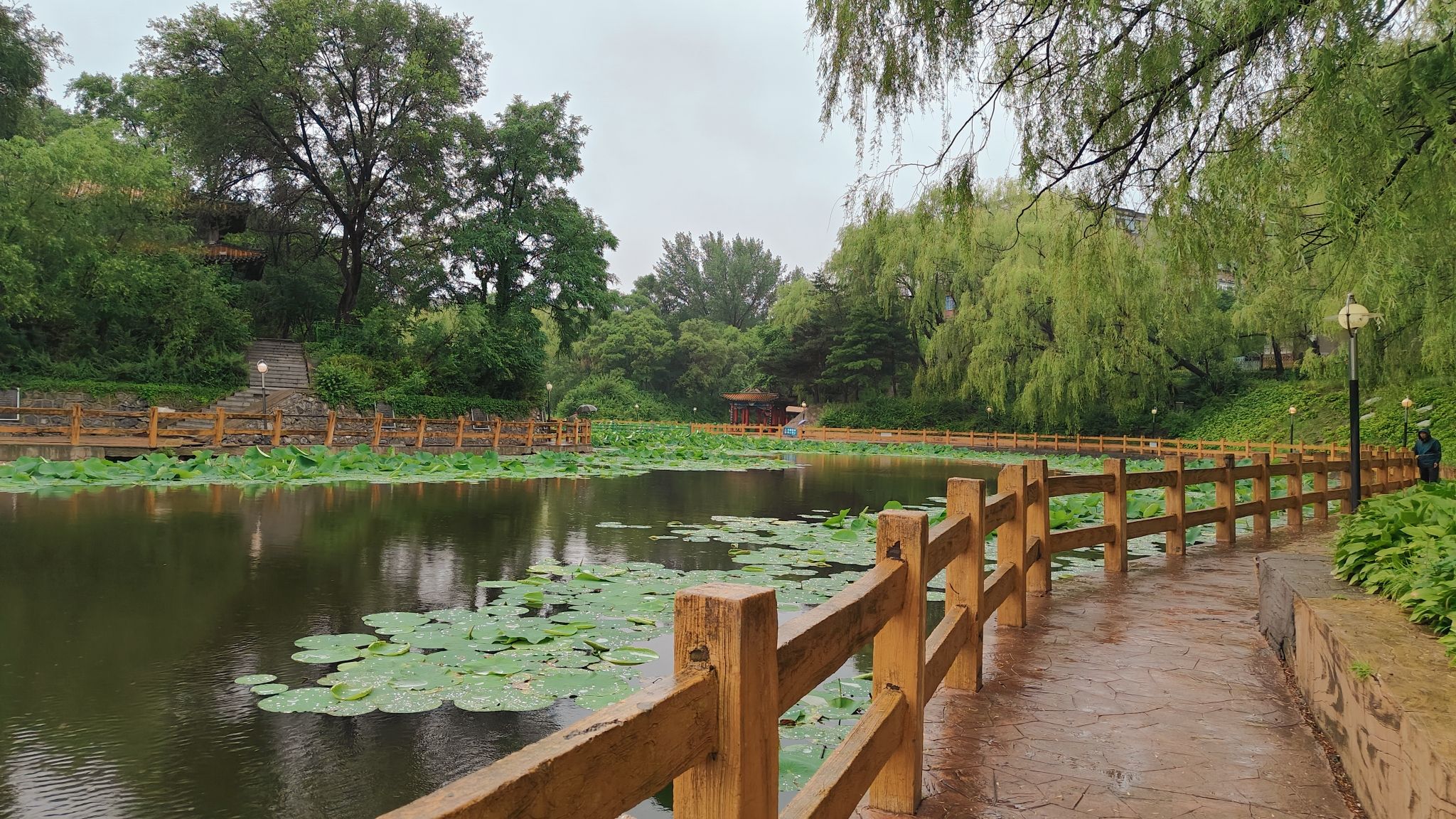 荟萃湖旅行图片 1