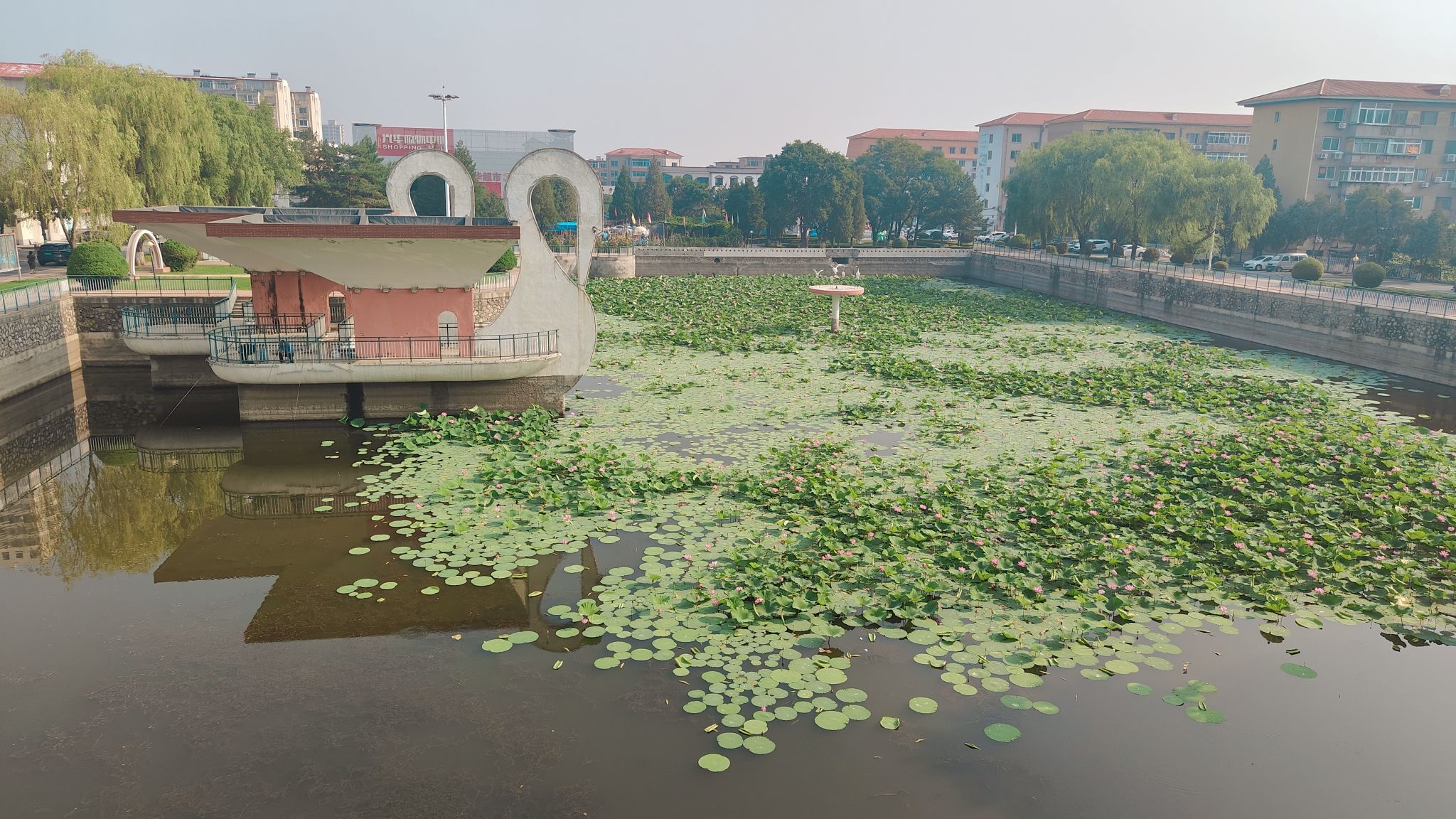 仙鹤湖文化广场旅行图片 1