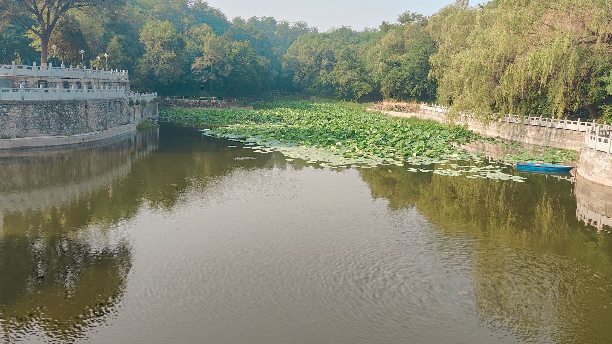 仙鹤湖文化广场旅行图片 2