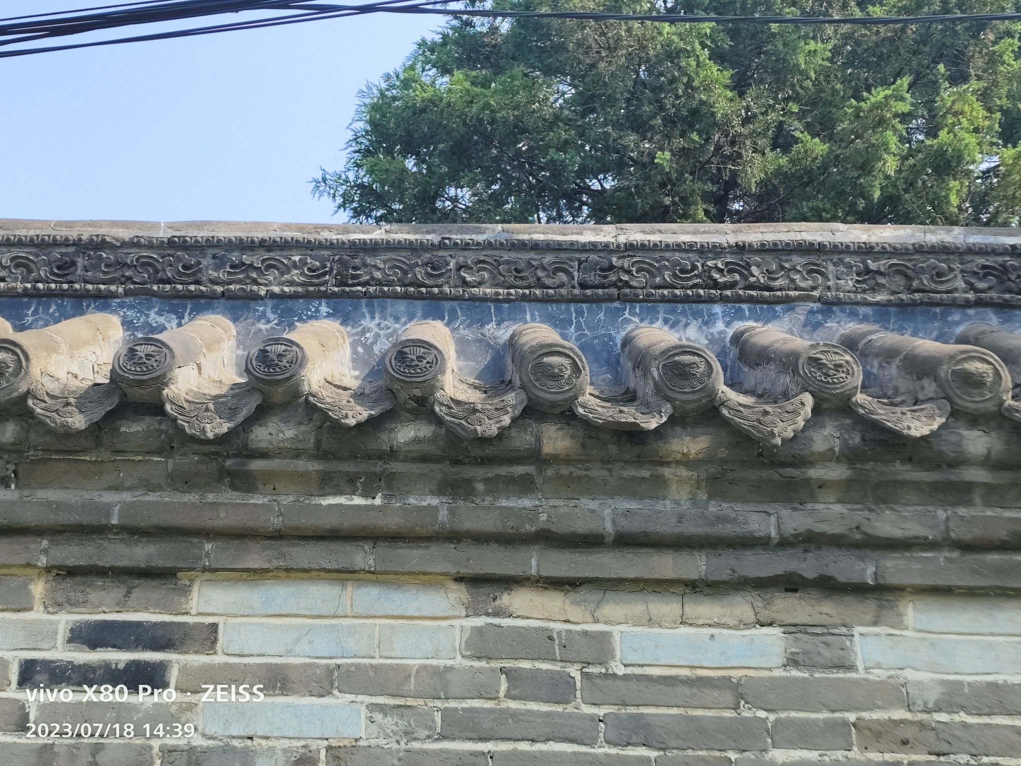 东京陵旅行图片 2