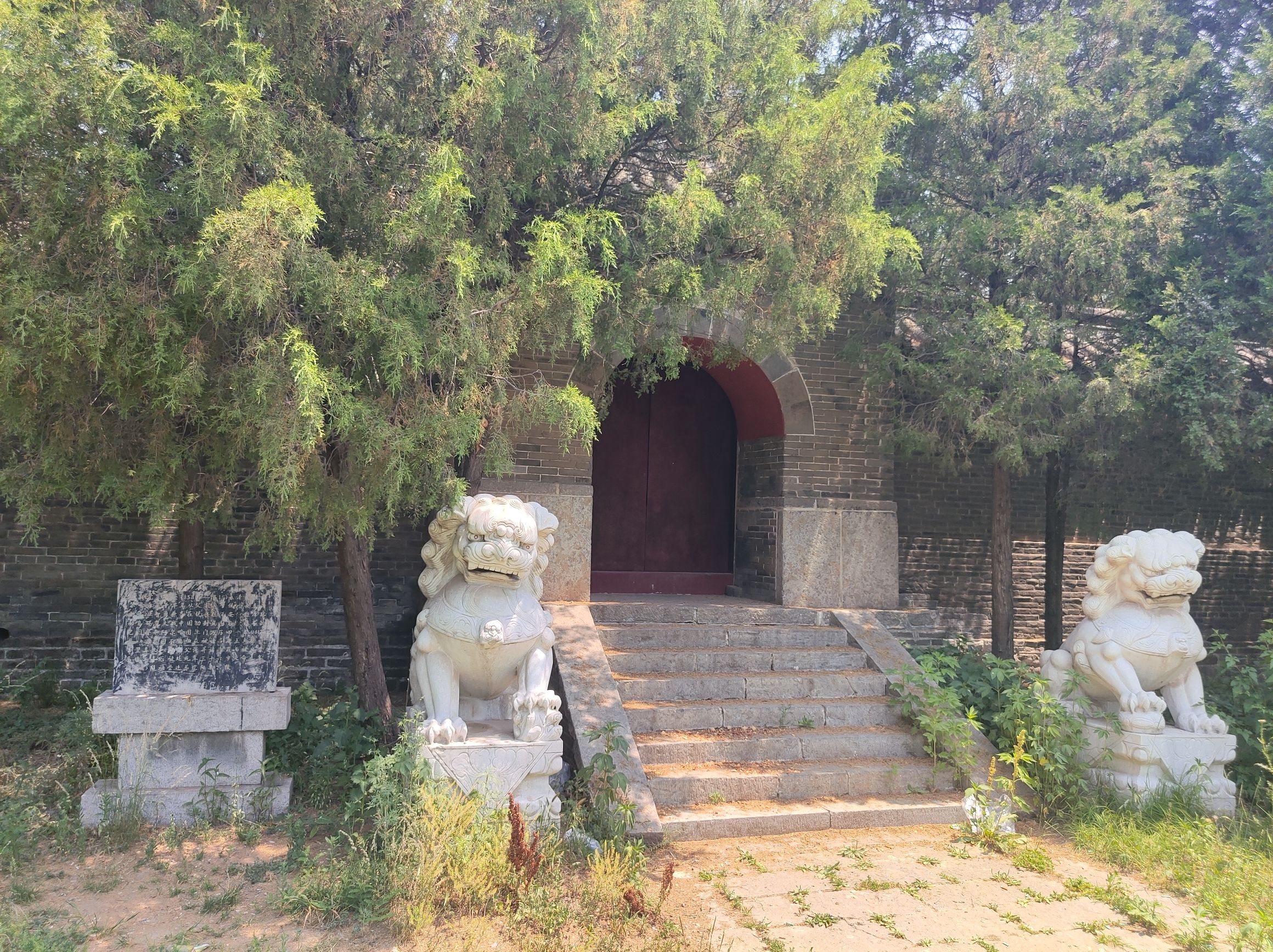 东京陵旅行图片 3