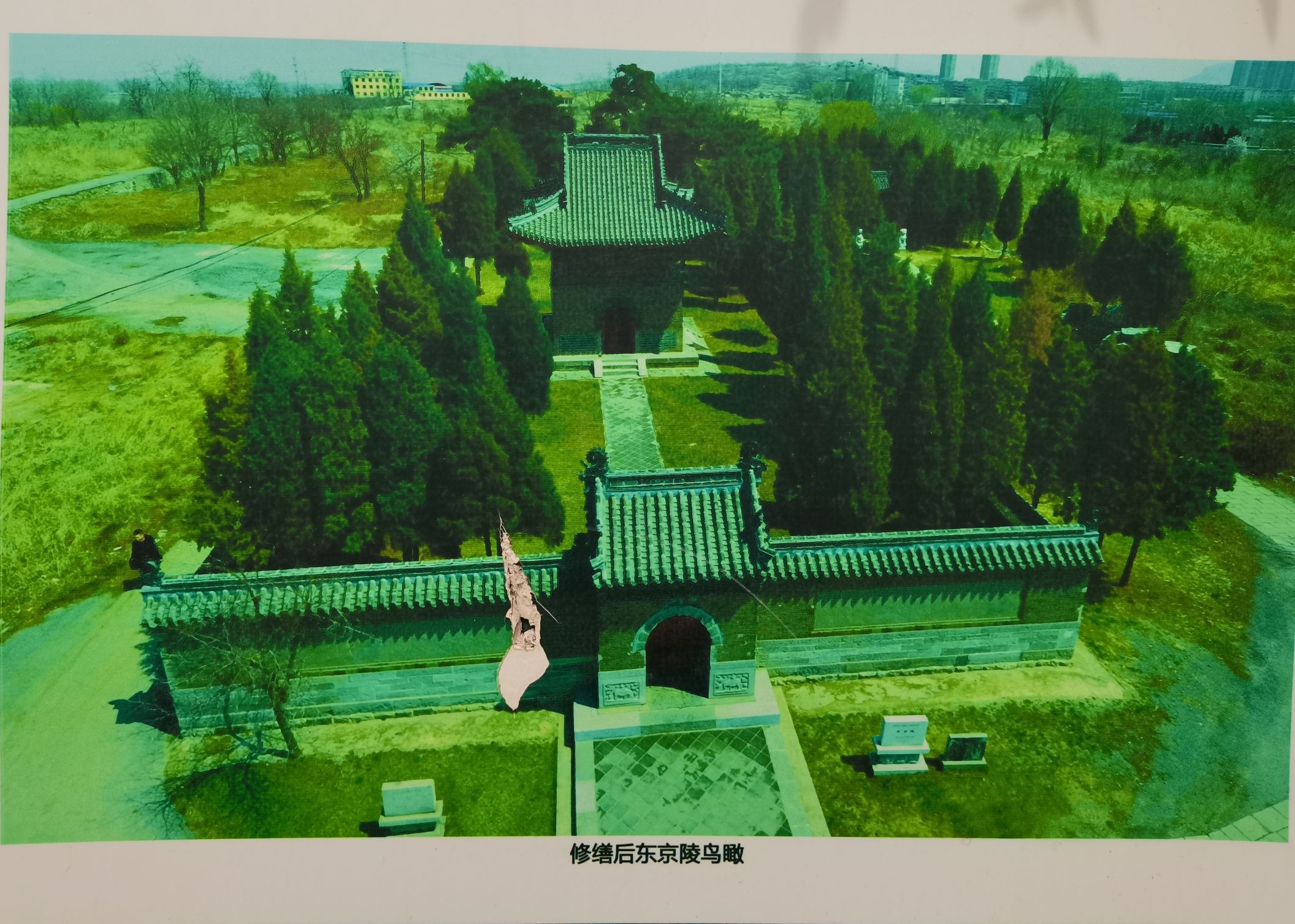 东京陵旅行图片 3