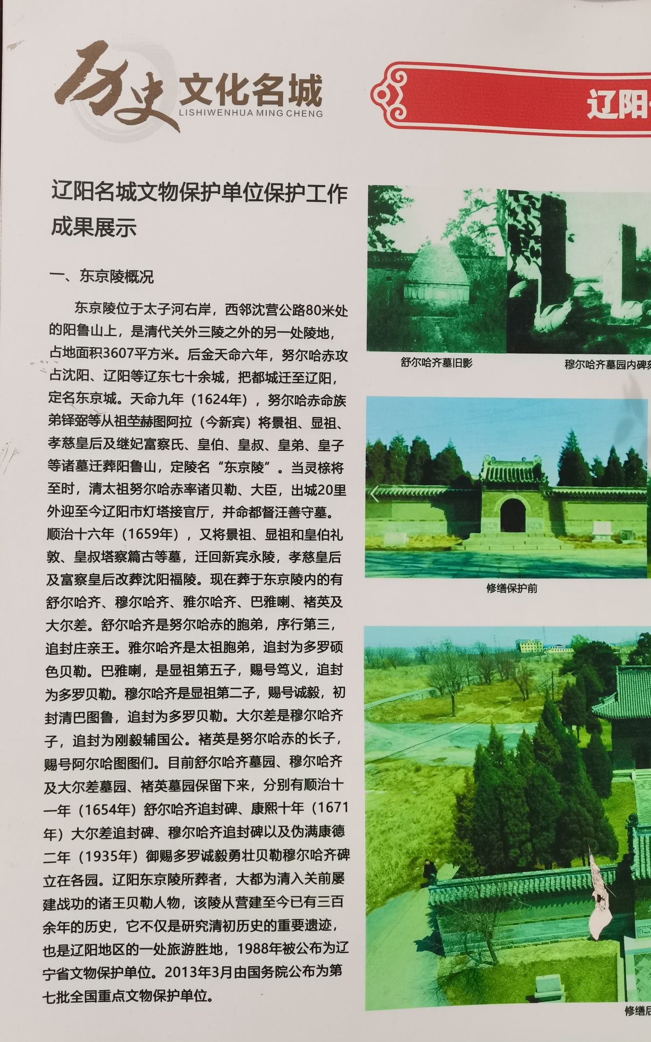 东京陵旅行图片 2