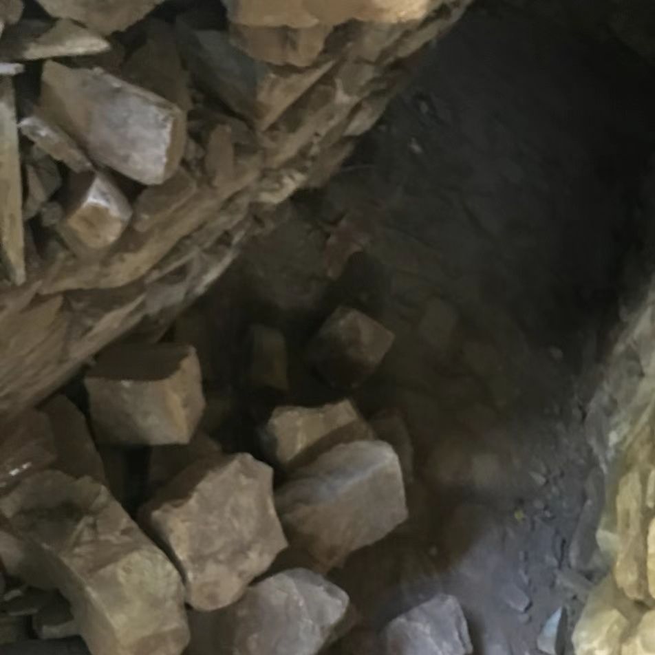 冷热地公园旅行图片 1