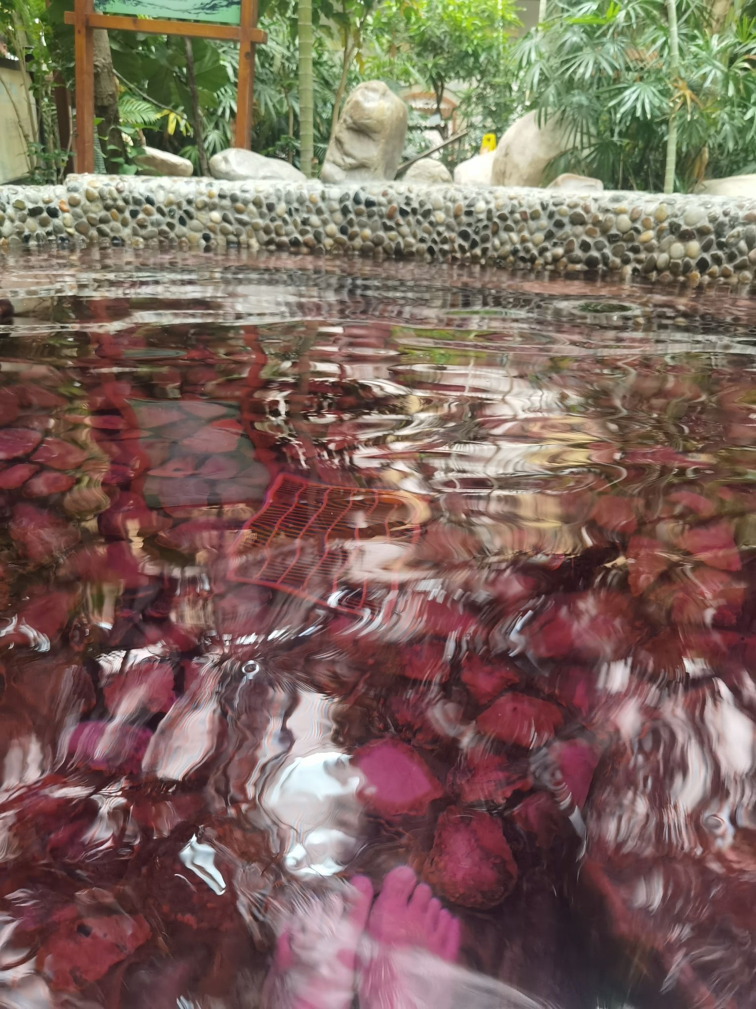 碧湖温泉度假村旅行图片 2