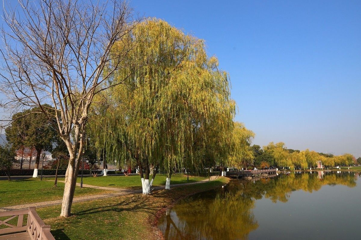 凌源公园旅行图片 3