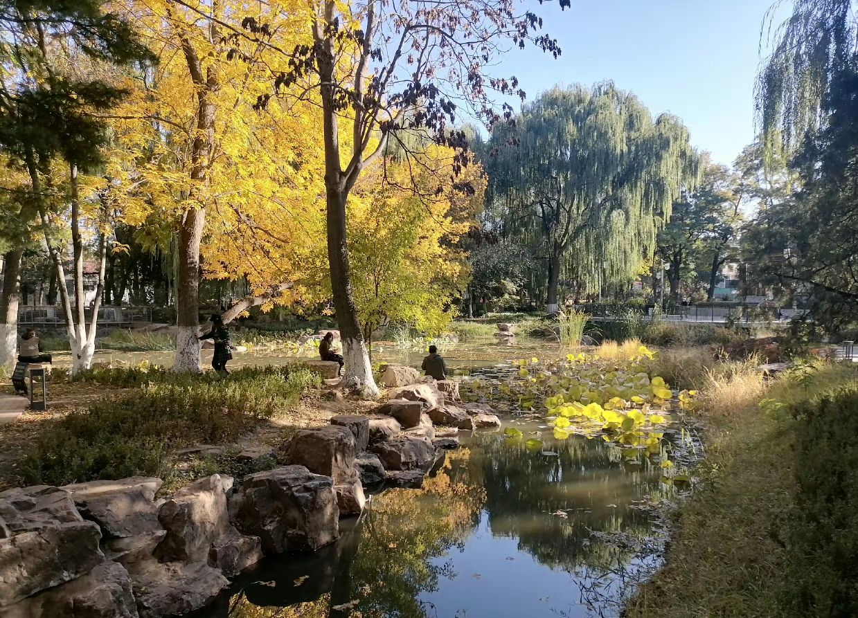 朝阳人民公园旅行图片 1