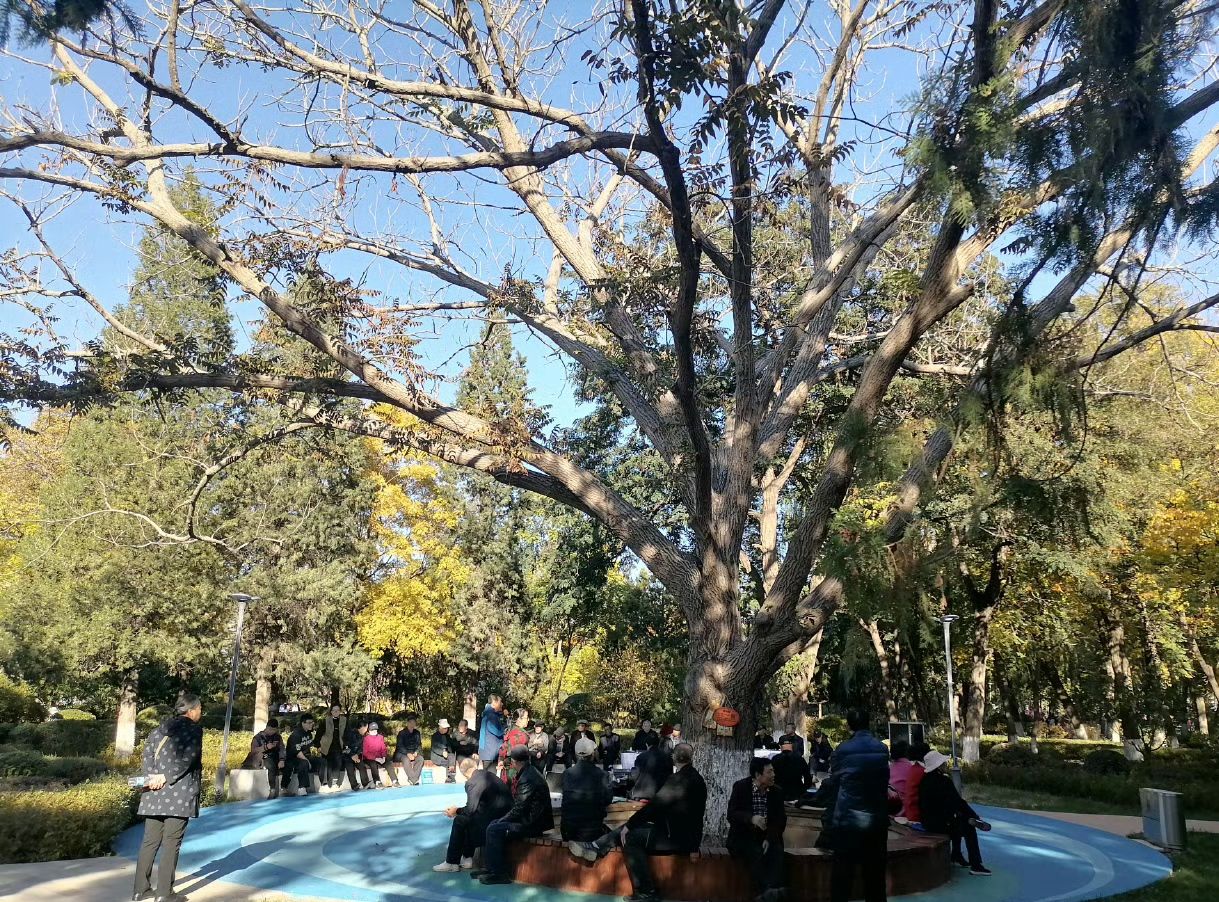 朝阳人民公园旅行图片 3