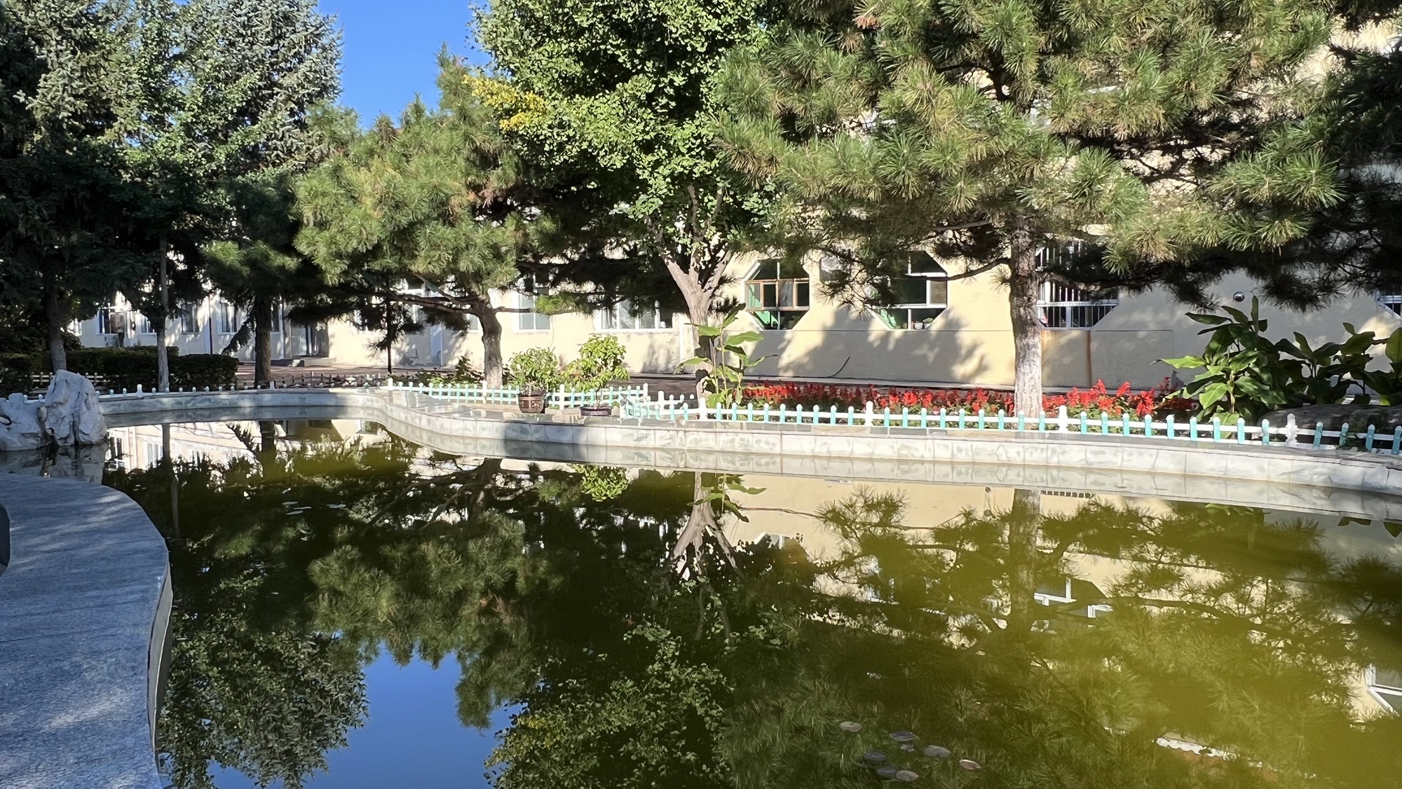 人民公园旅行图片 2
