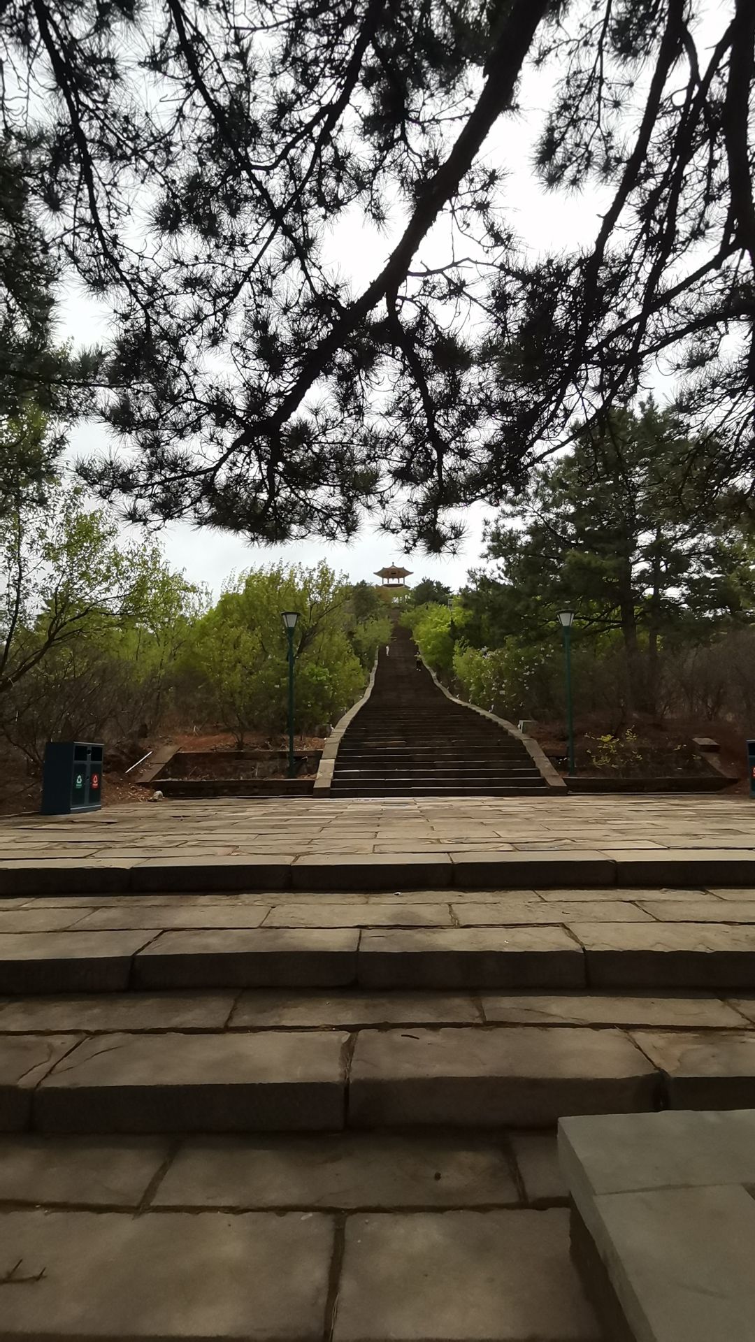 人民公园旅行图片 1