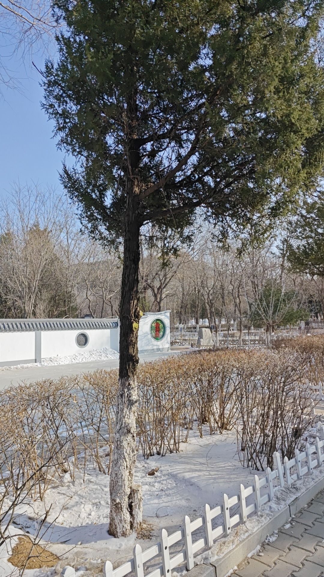 人民公园旅行图片 1