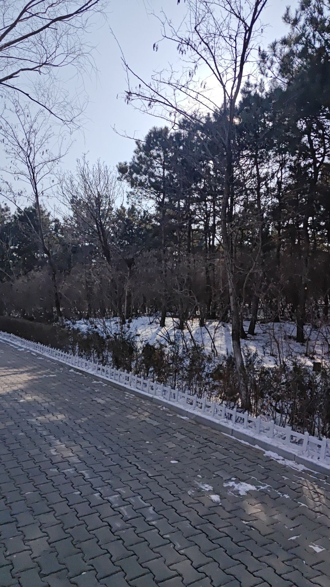 人民公园旅行图片 3