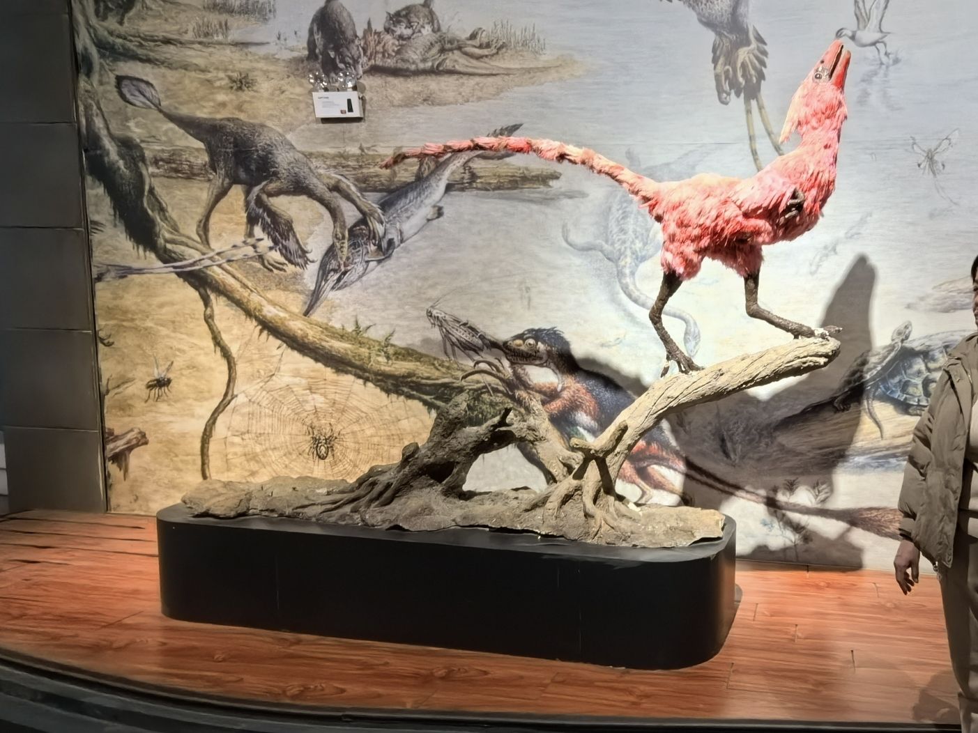 辽宁朝阳鸟化石国家地质公园旅行图片 1