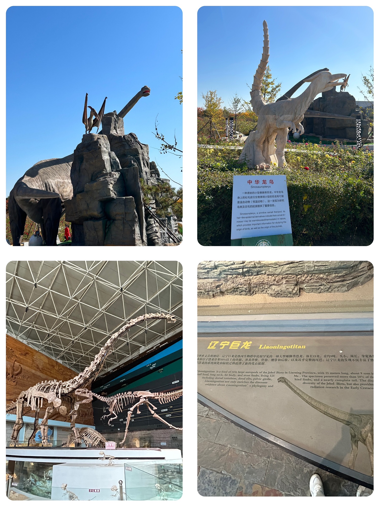 辽宁朝阳鸟化石国家地质公园旅行图片 3