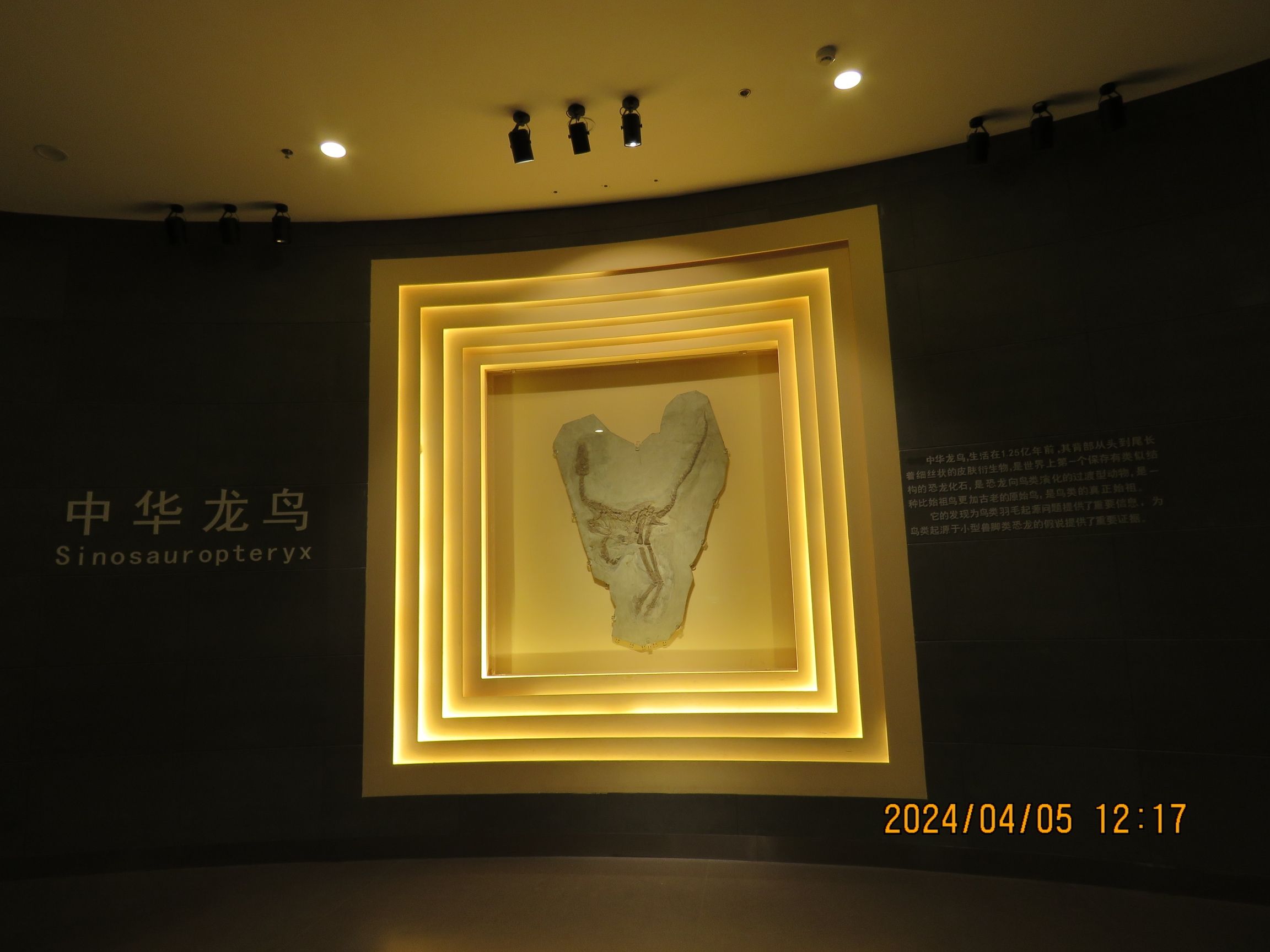 辽宁朝阳鸟化石国家地质公园旅行图片 2
