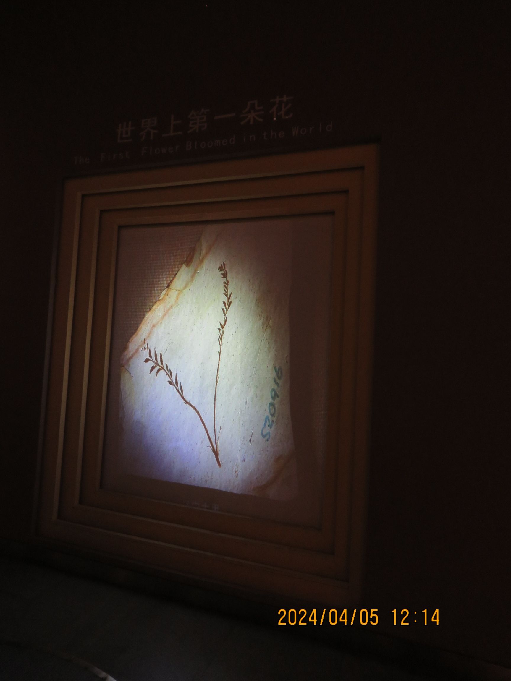 辽宁朝阳鸟化石国家地质公园旅行图片 1