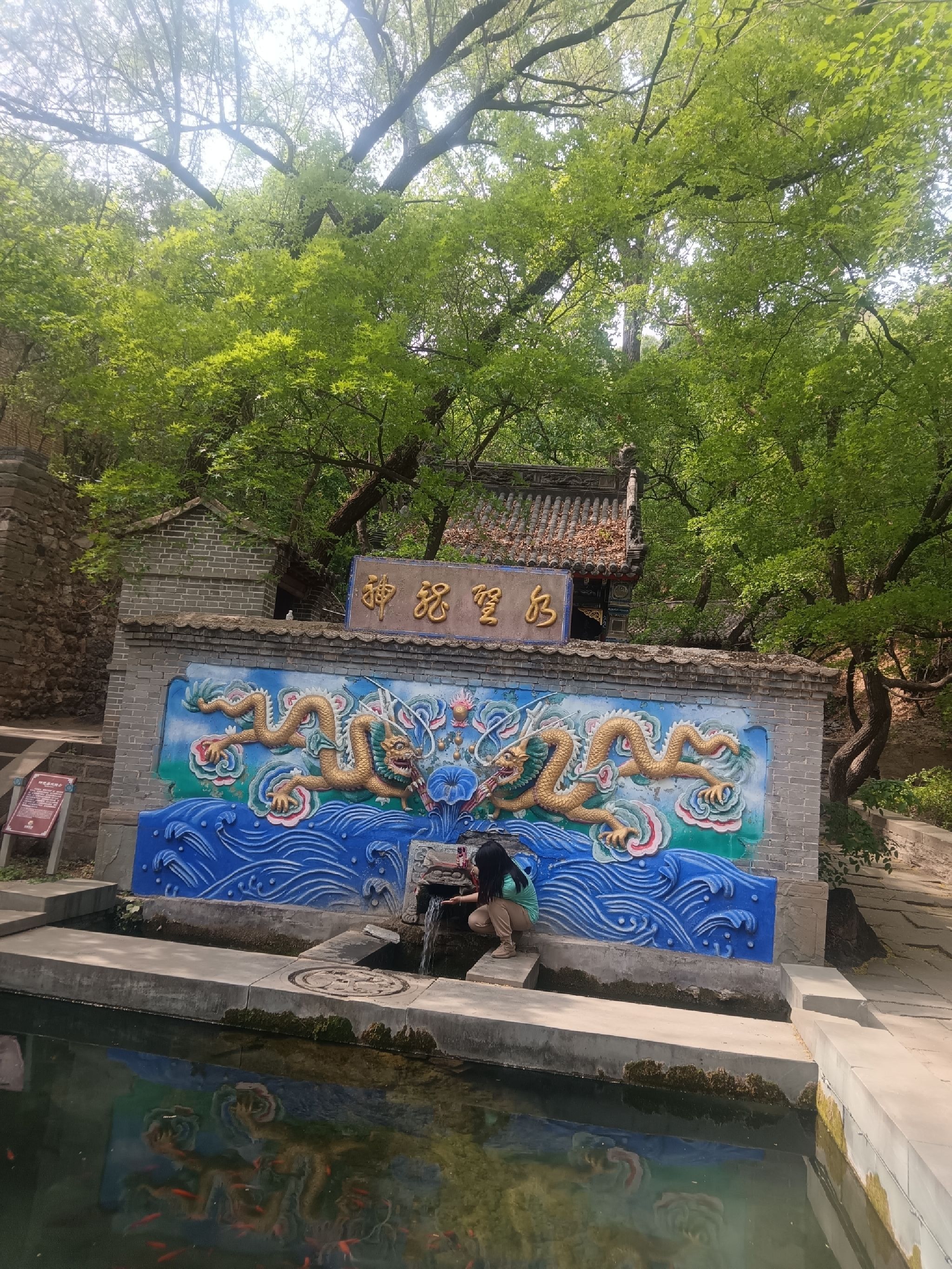 槐树洞旅行图片 3