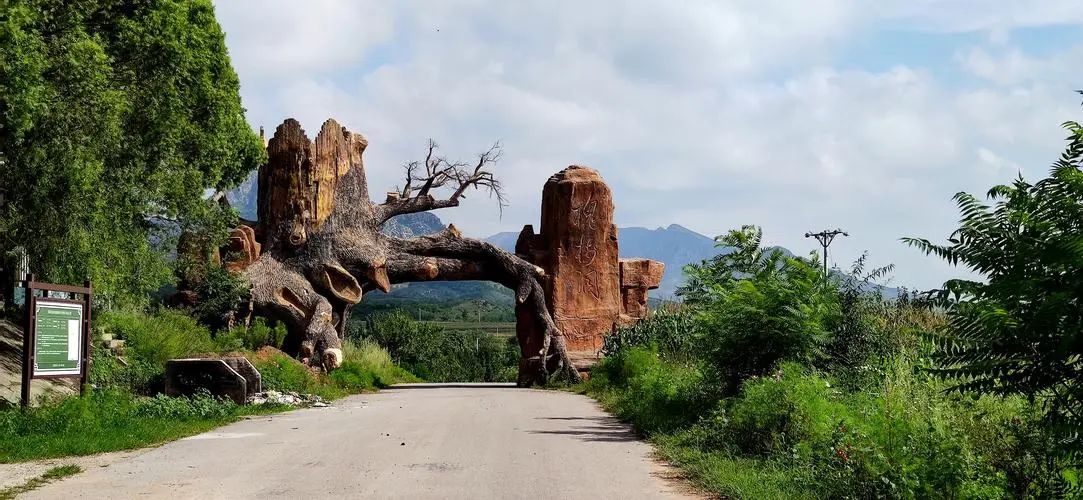 槐树洞旅行图片 2