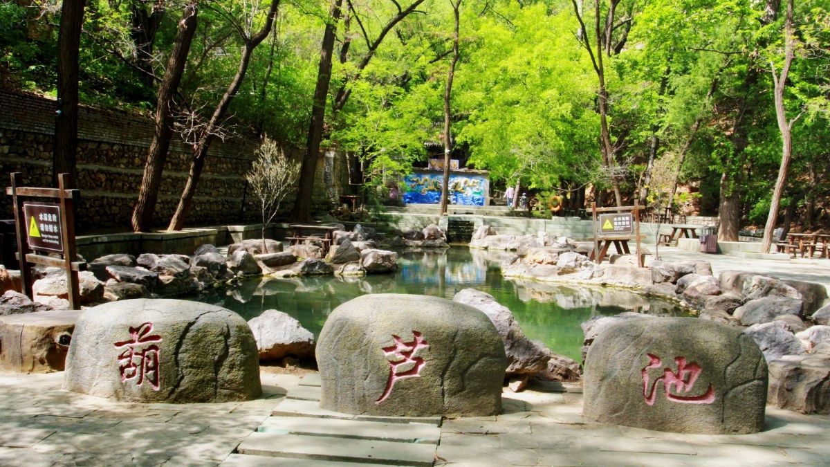 槐树洞旅行图片 1