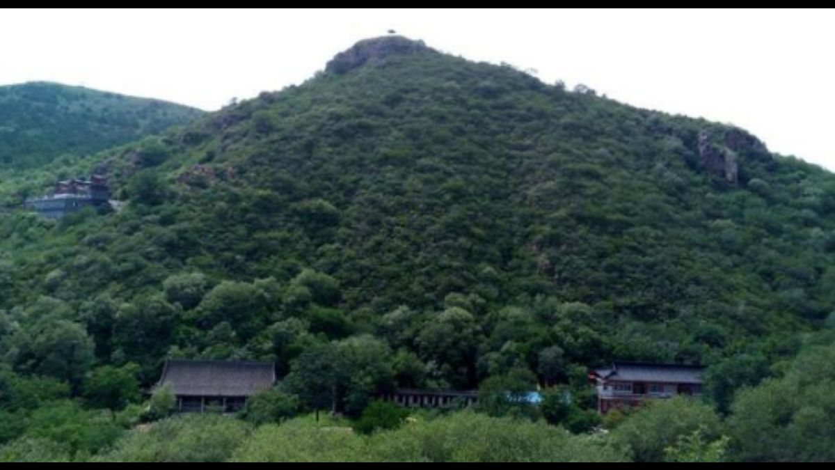 槐树洞旅行图片 2