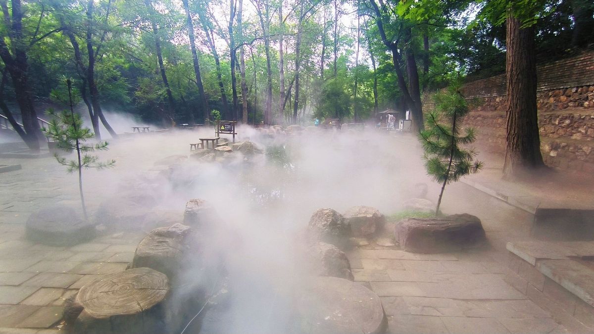 槐树洞旅行图片 3