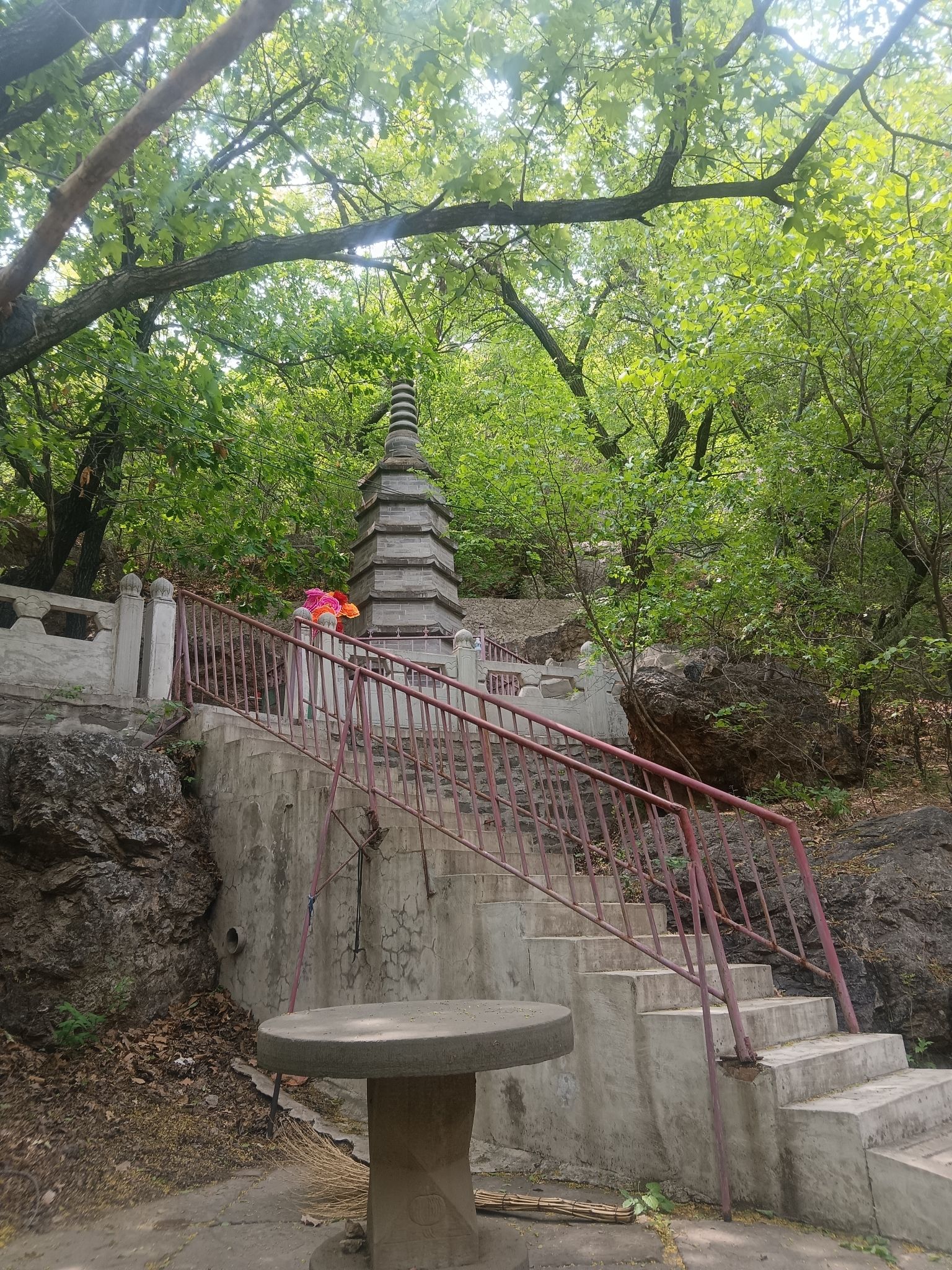 槐树洞旅行图片 2