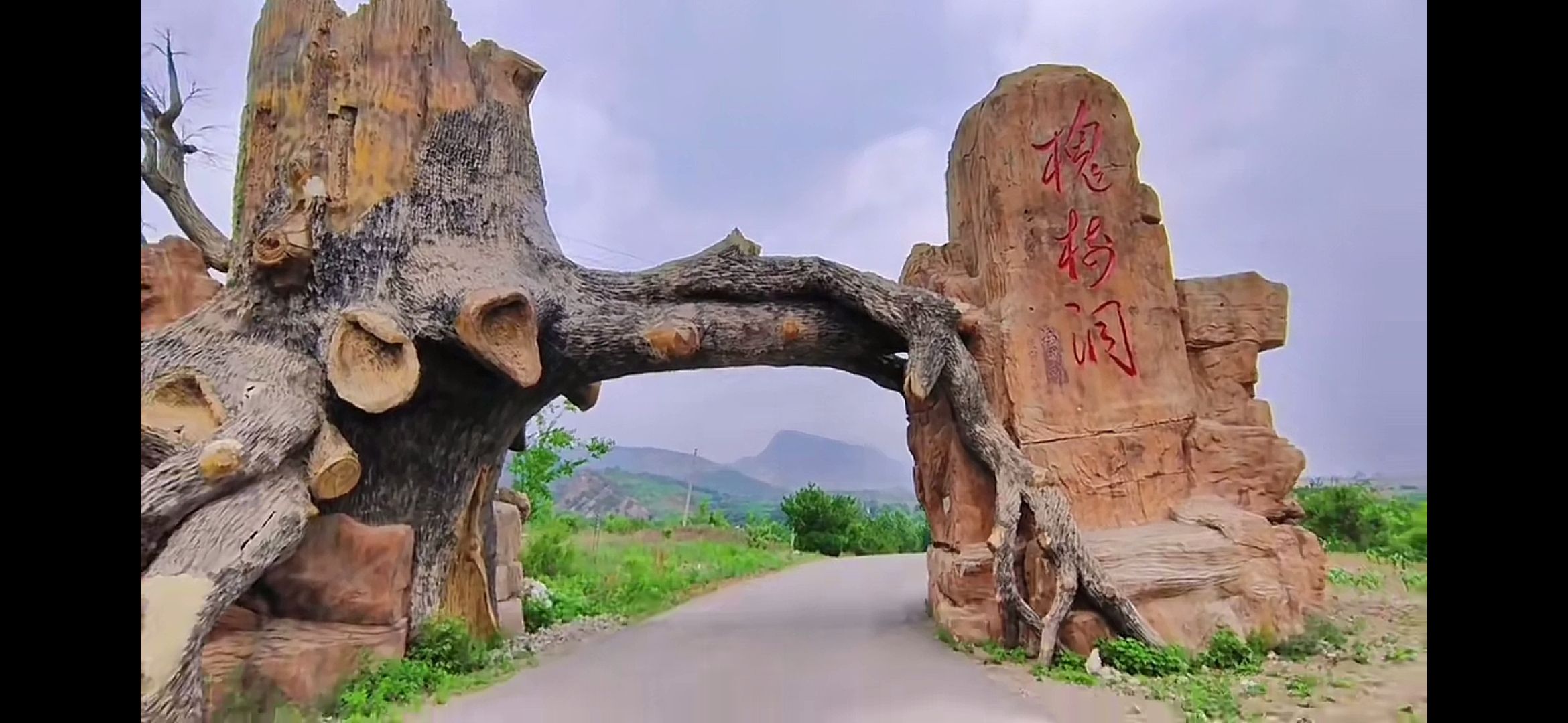槐树洞旅行图片 1