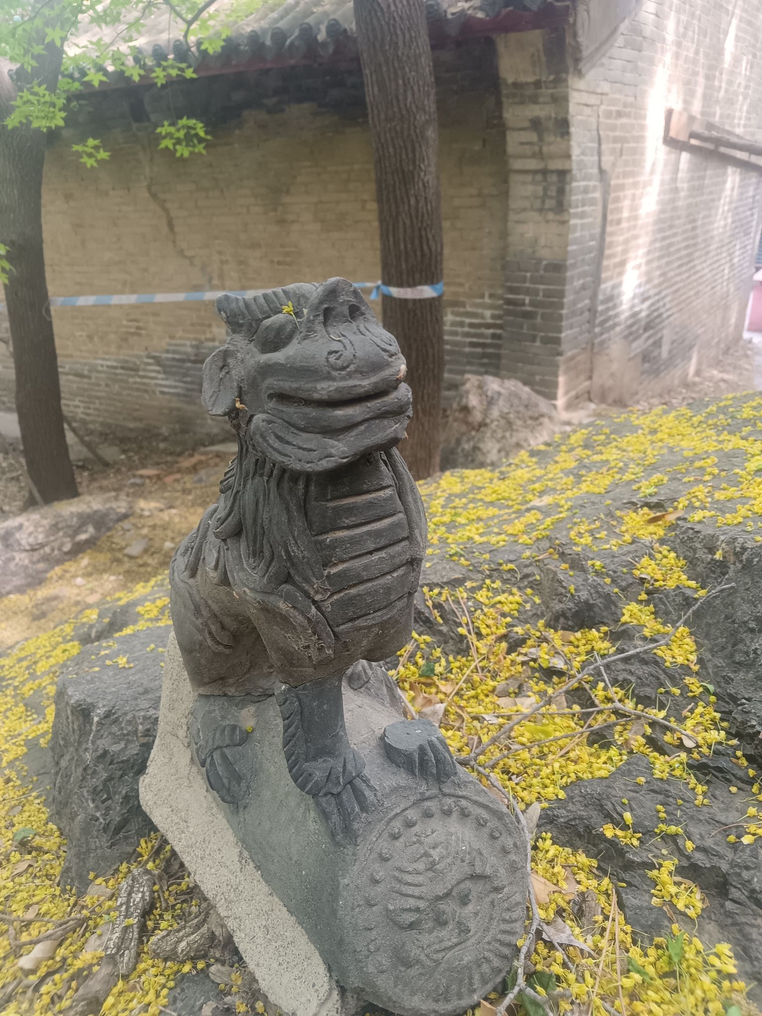 槐树洞旅行图片 1