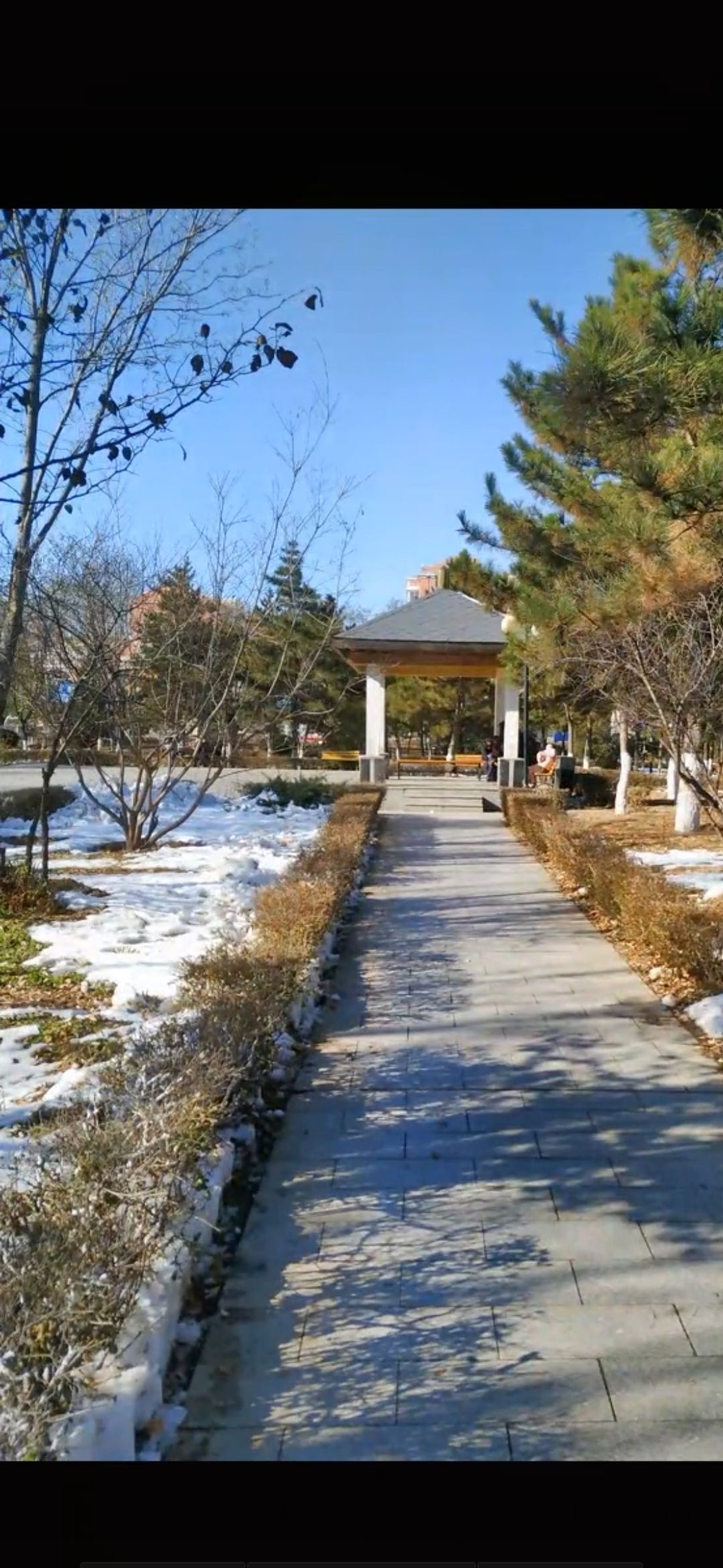尚志公园旅行图片 3