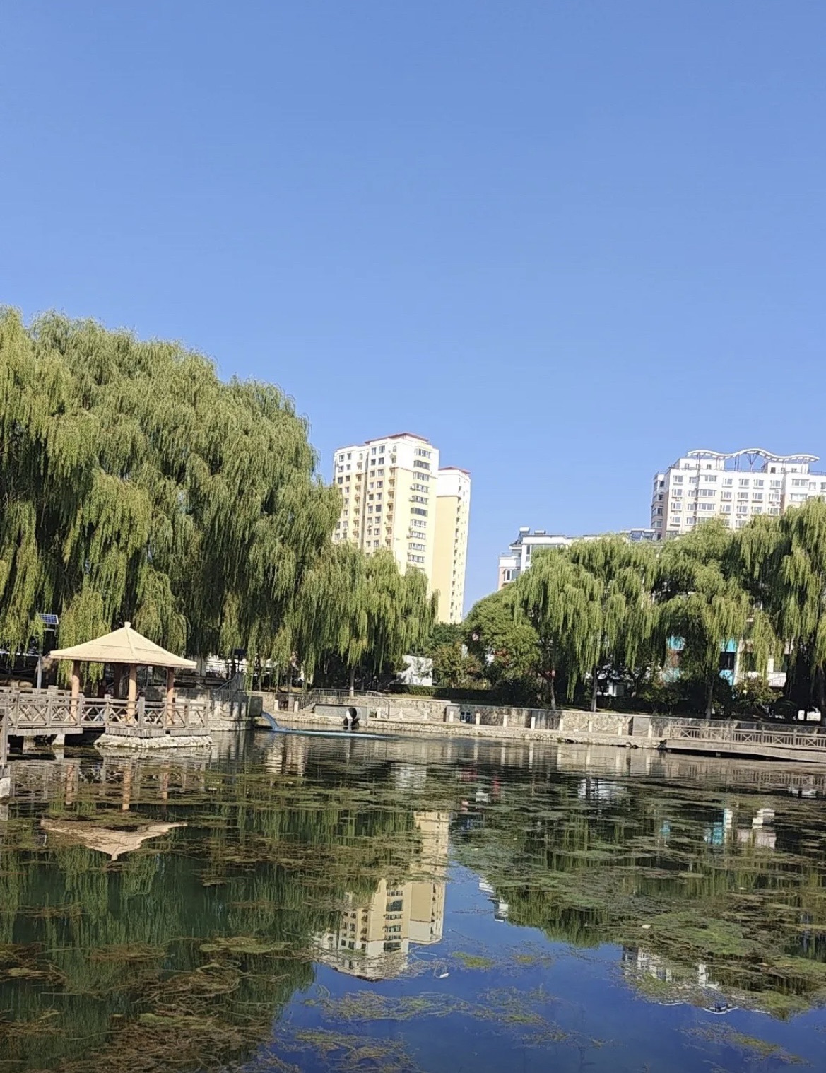 大凌河风景区旅行图片 1