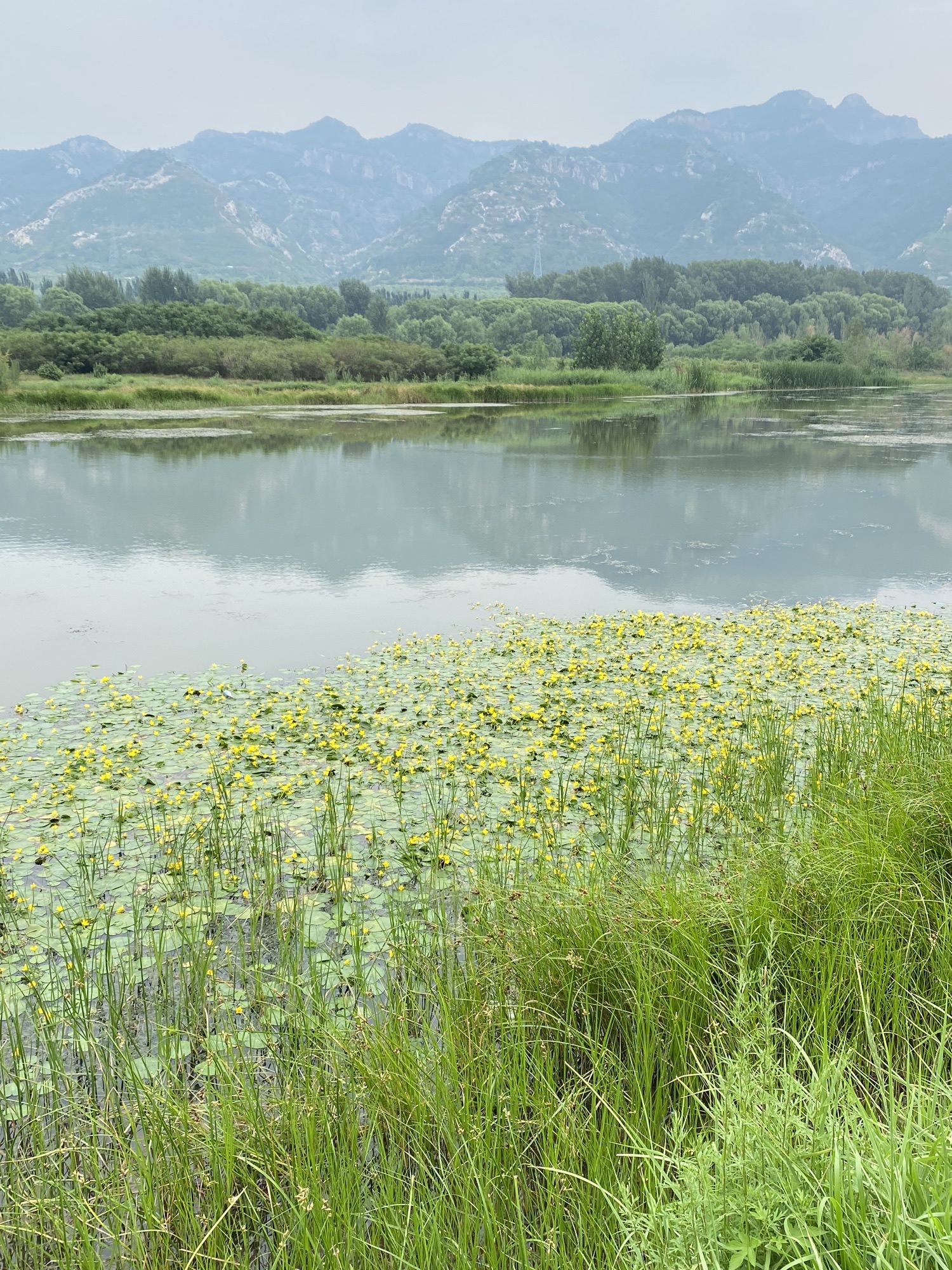 大凌河风景区旅行图片 2
