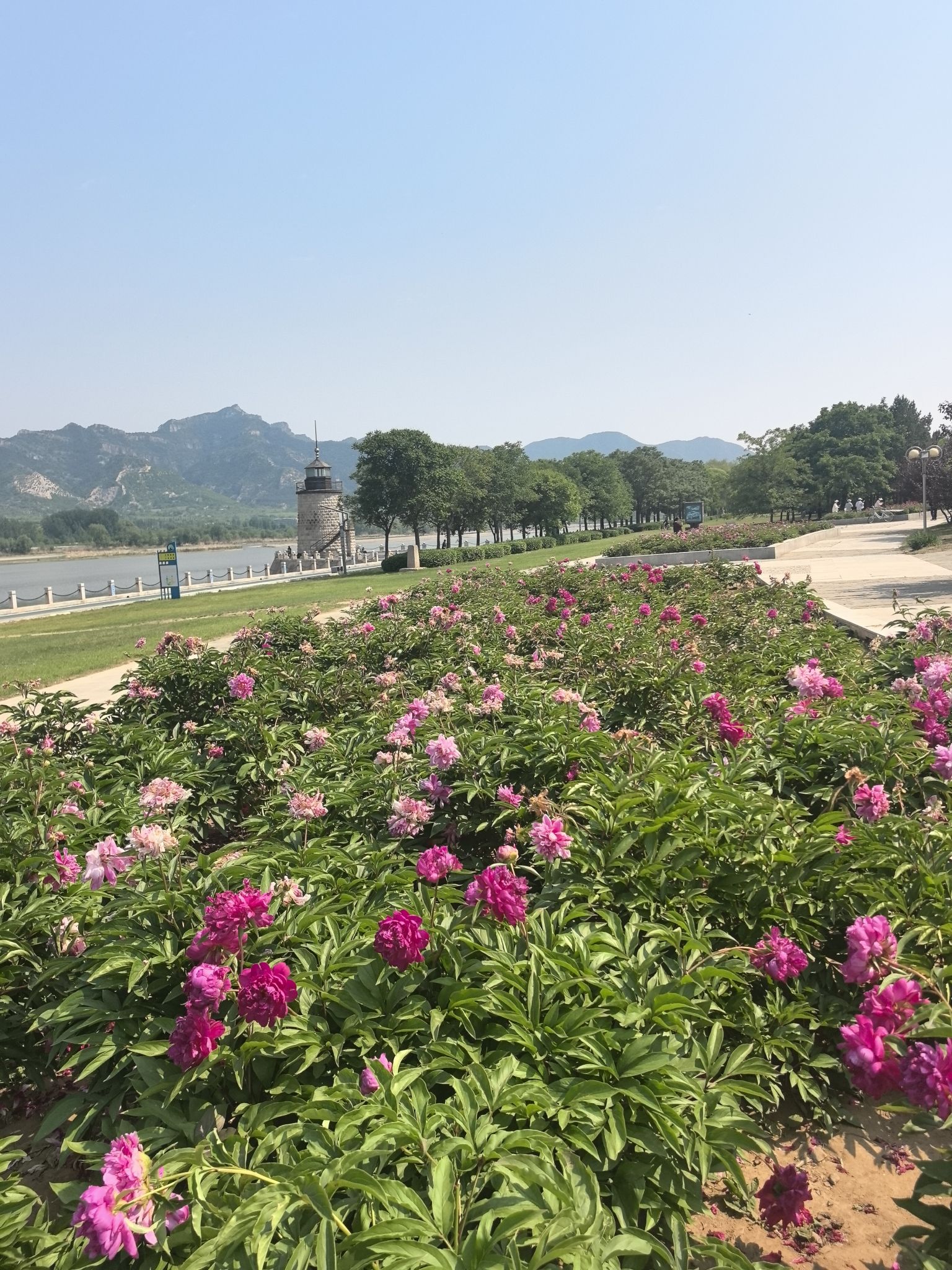 大凌河公园