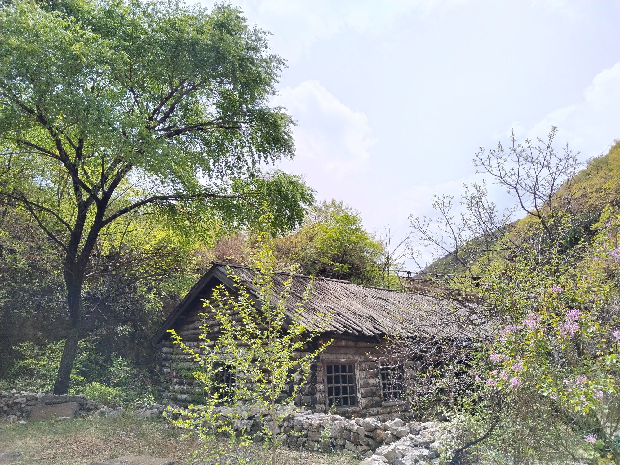 清风岭旅行图片 3
