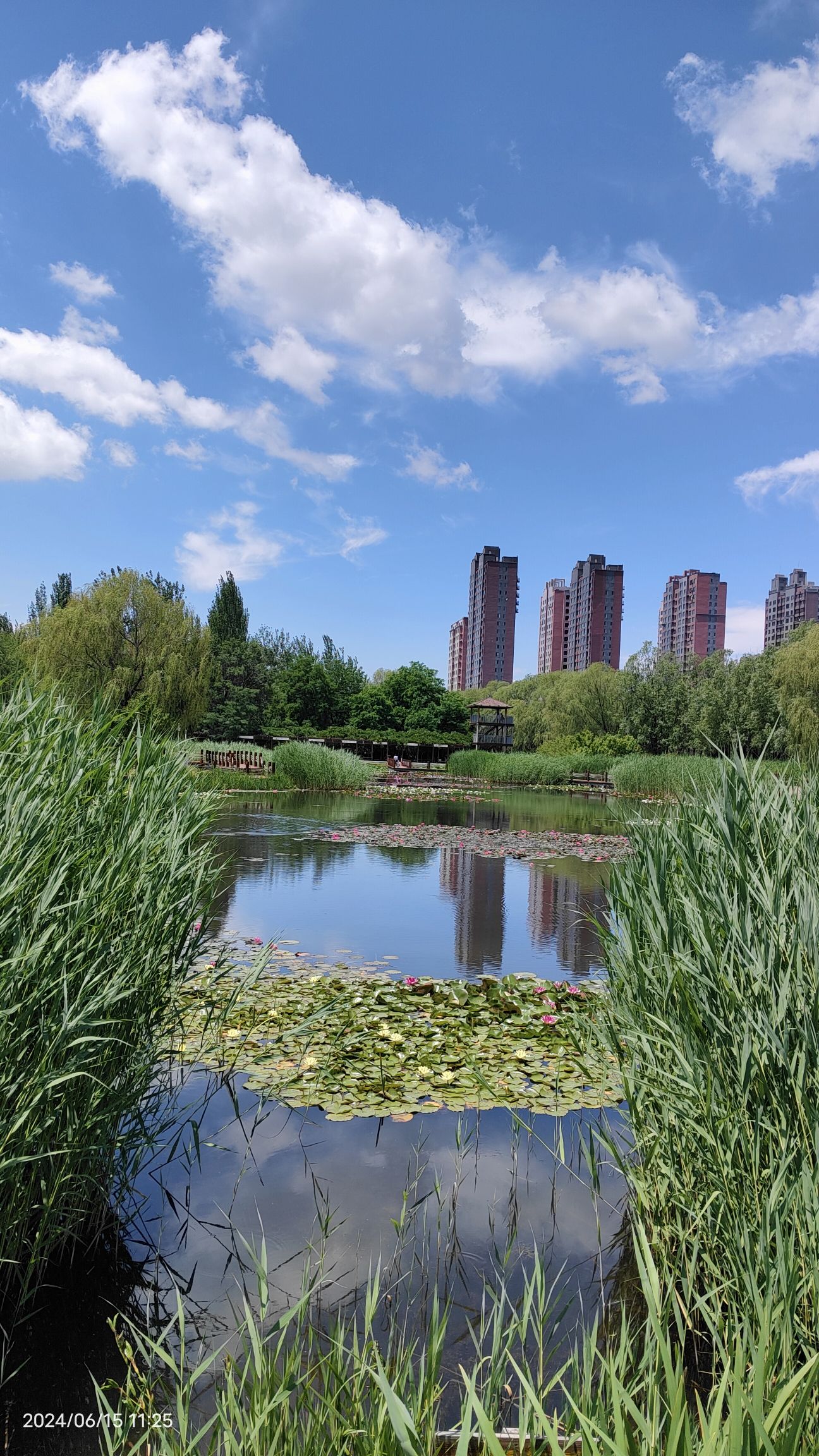 东湖公园