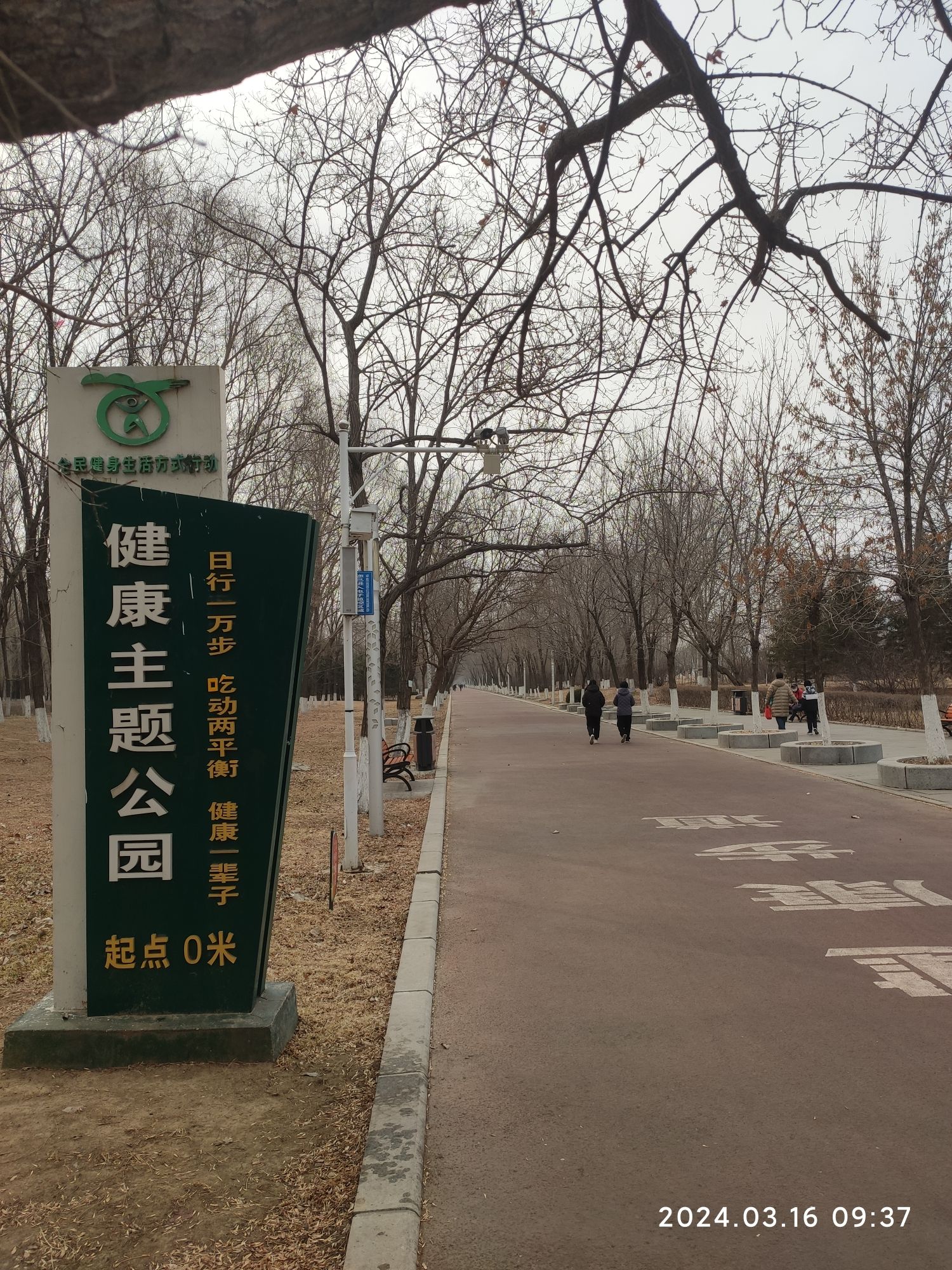 东湖公园旅行图片 2