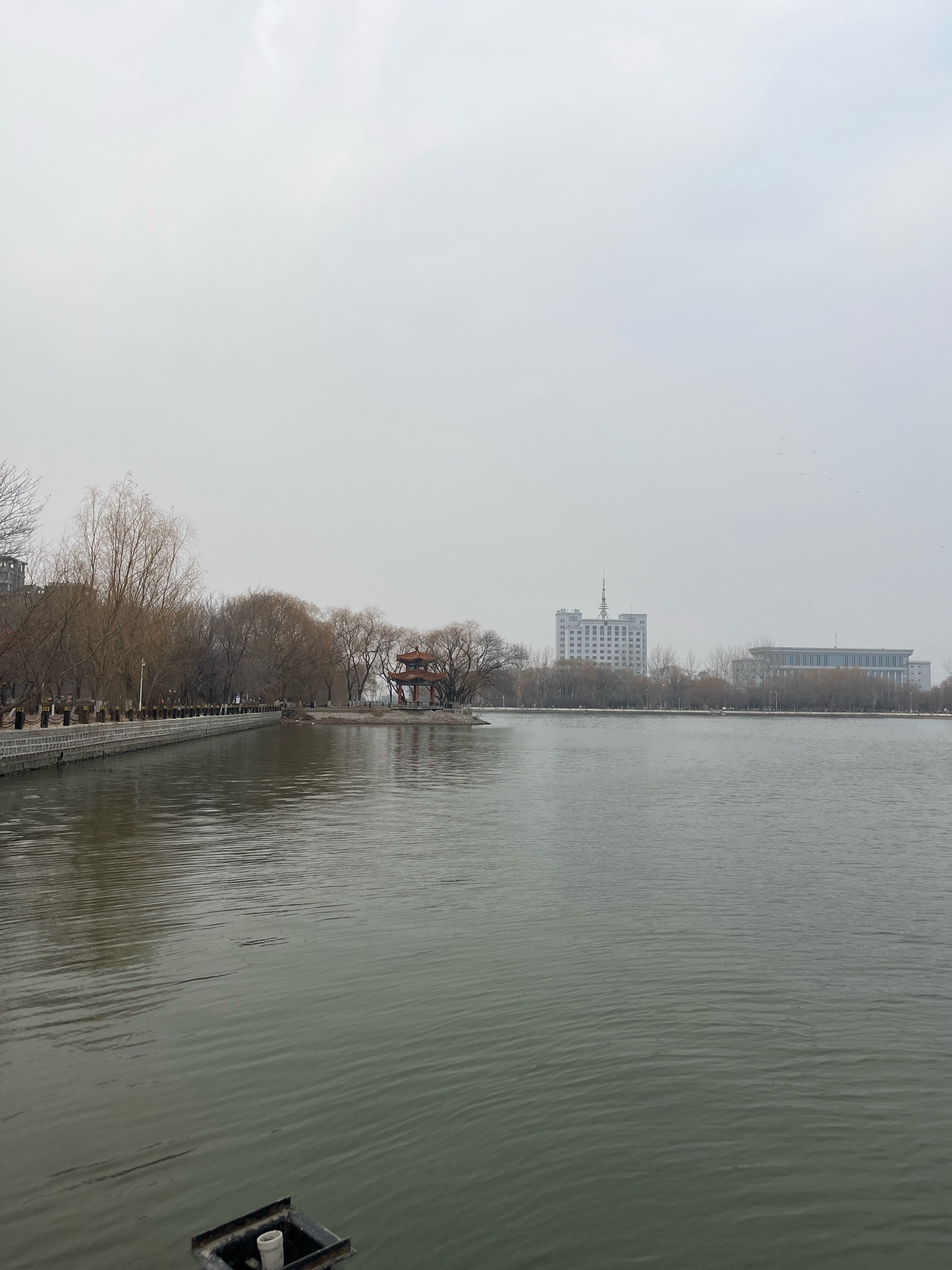东湖公园旅行图片 1