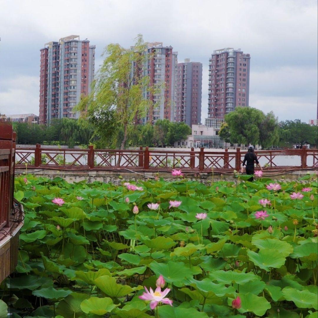 东湖公园旅行图片 2