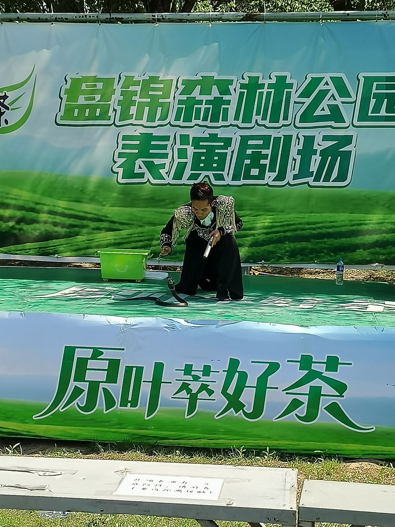 盘锦森林公园旅行图片 3