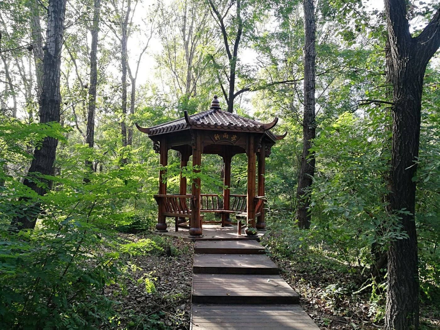 盘锦森林公园旅行图片 1
